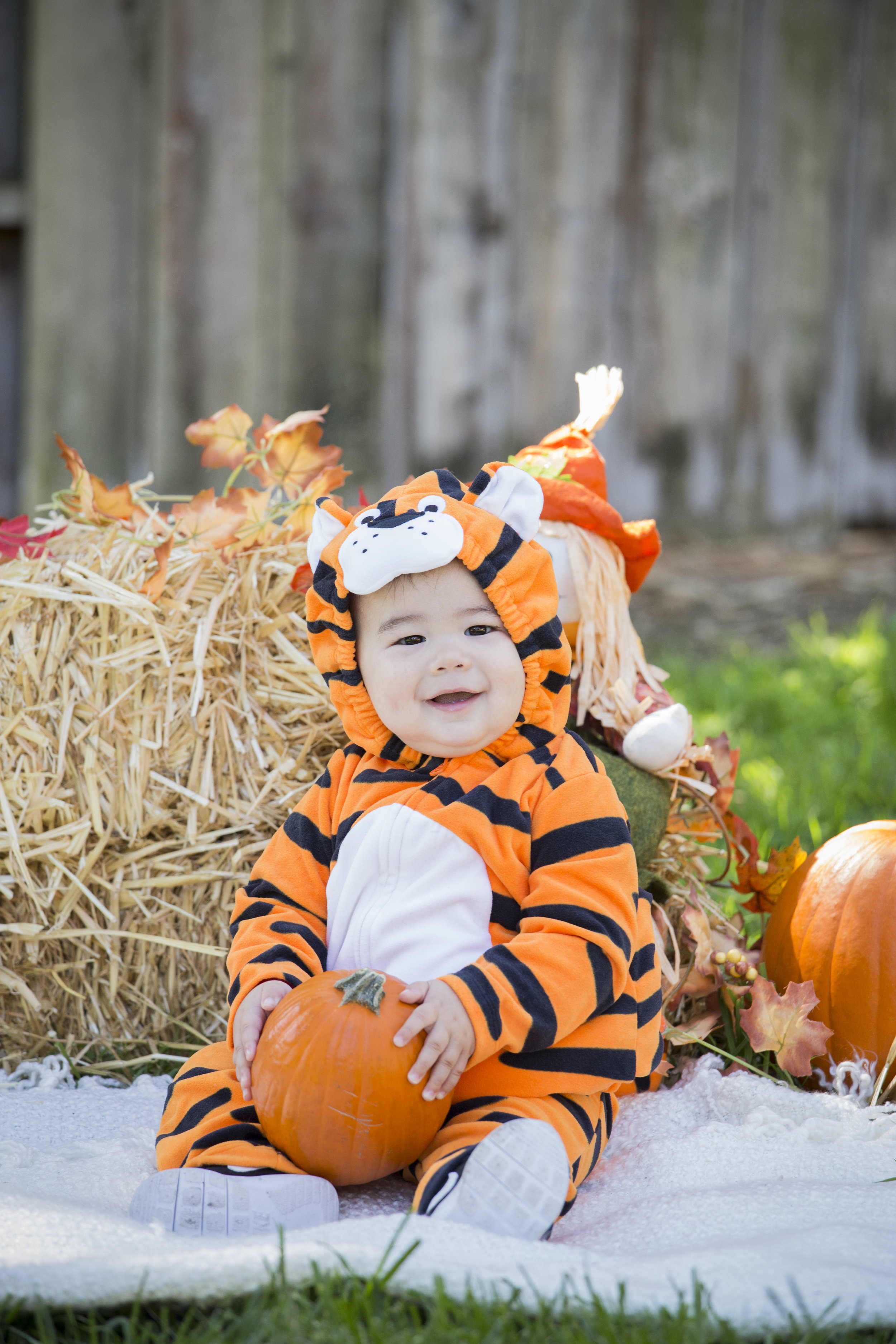 IMG_8652 copy.jpg