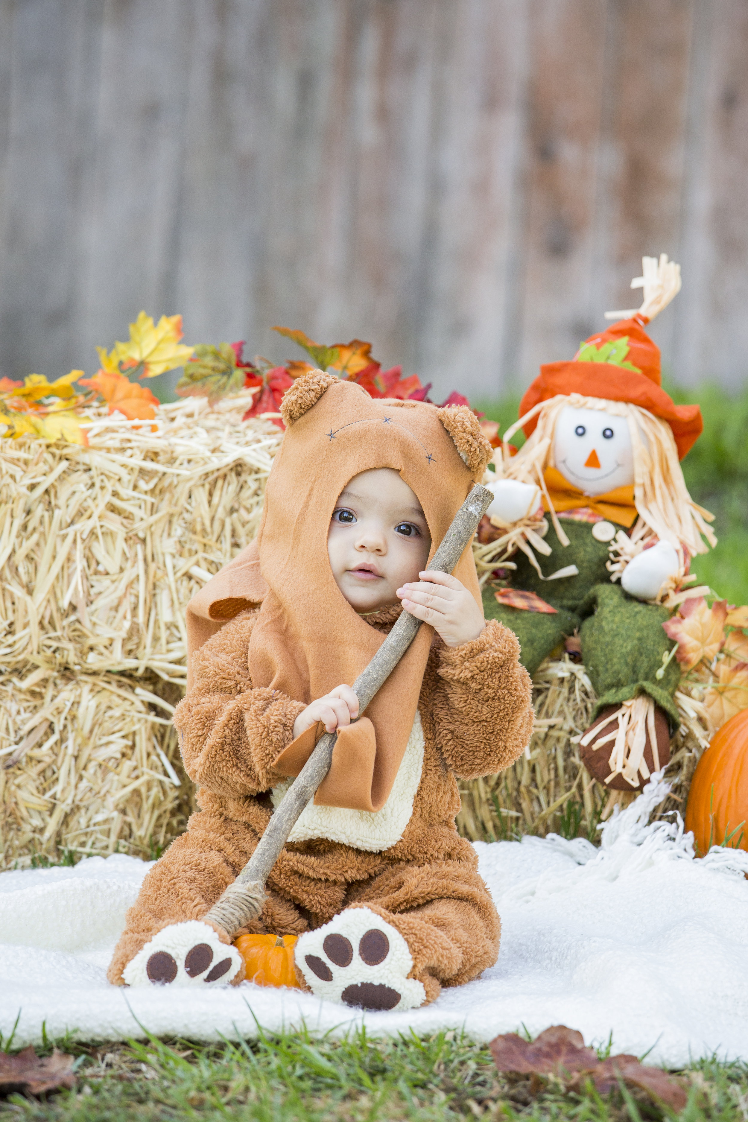 Halloween Session 2016