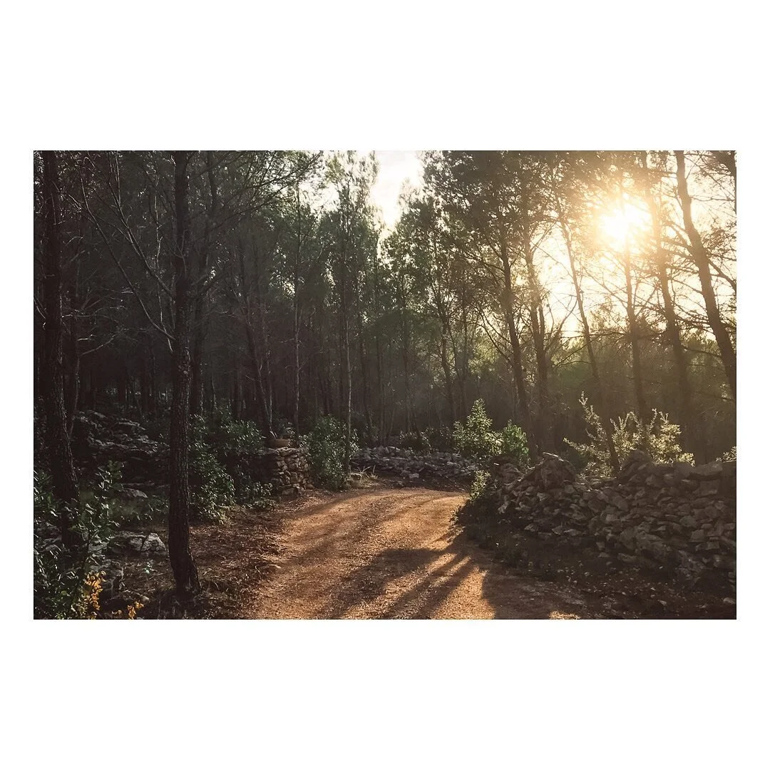 N Y E
May we look forward to a new year, one of hope, peace &amp; clarity.