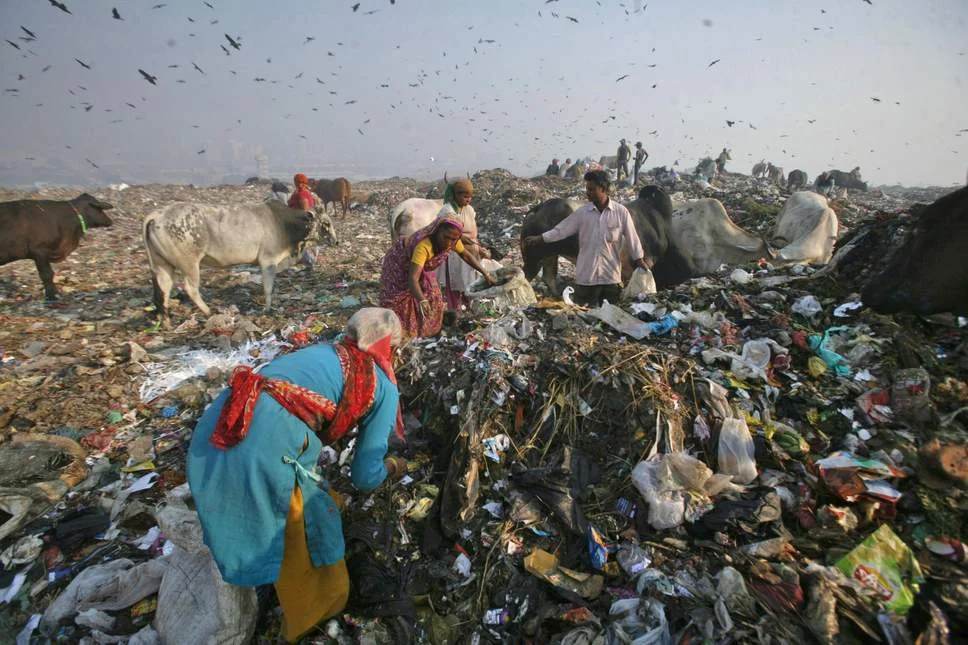 delhiwaste.jpg