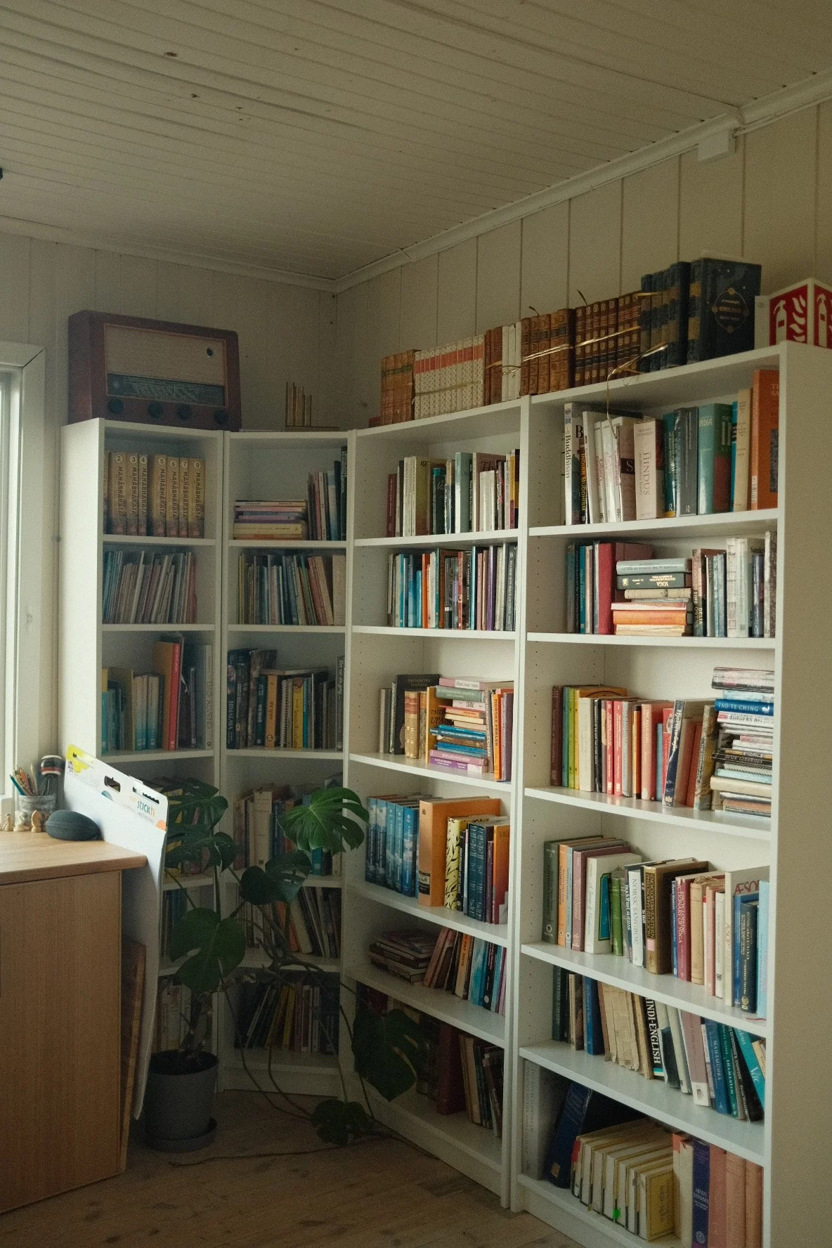 DSCF9157 2.JPG