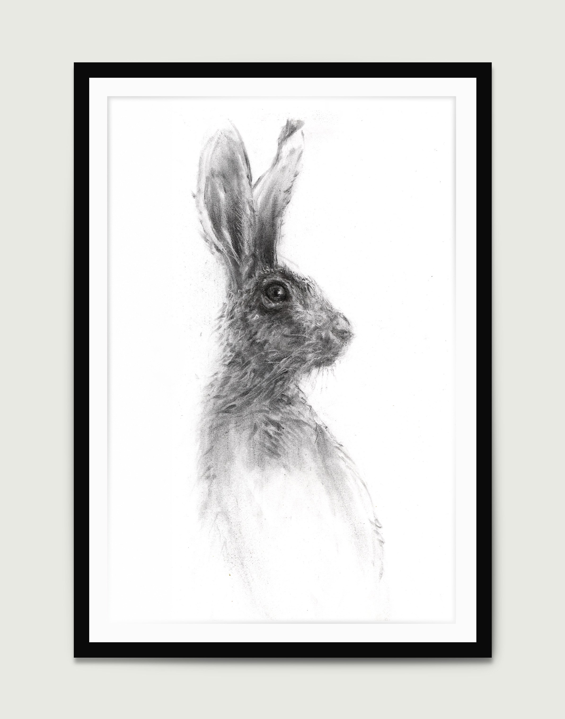 hare.jpg