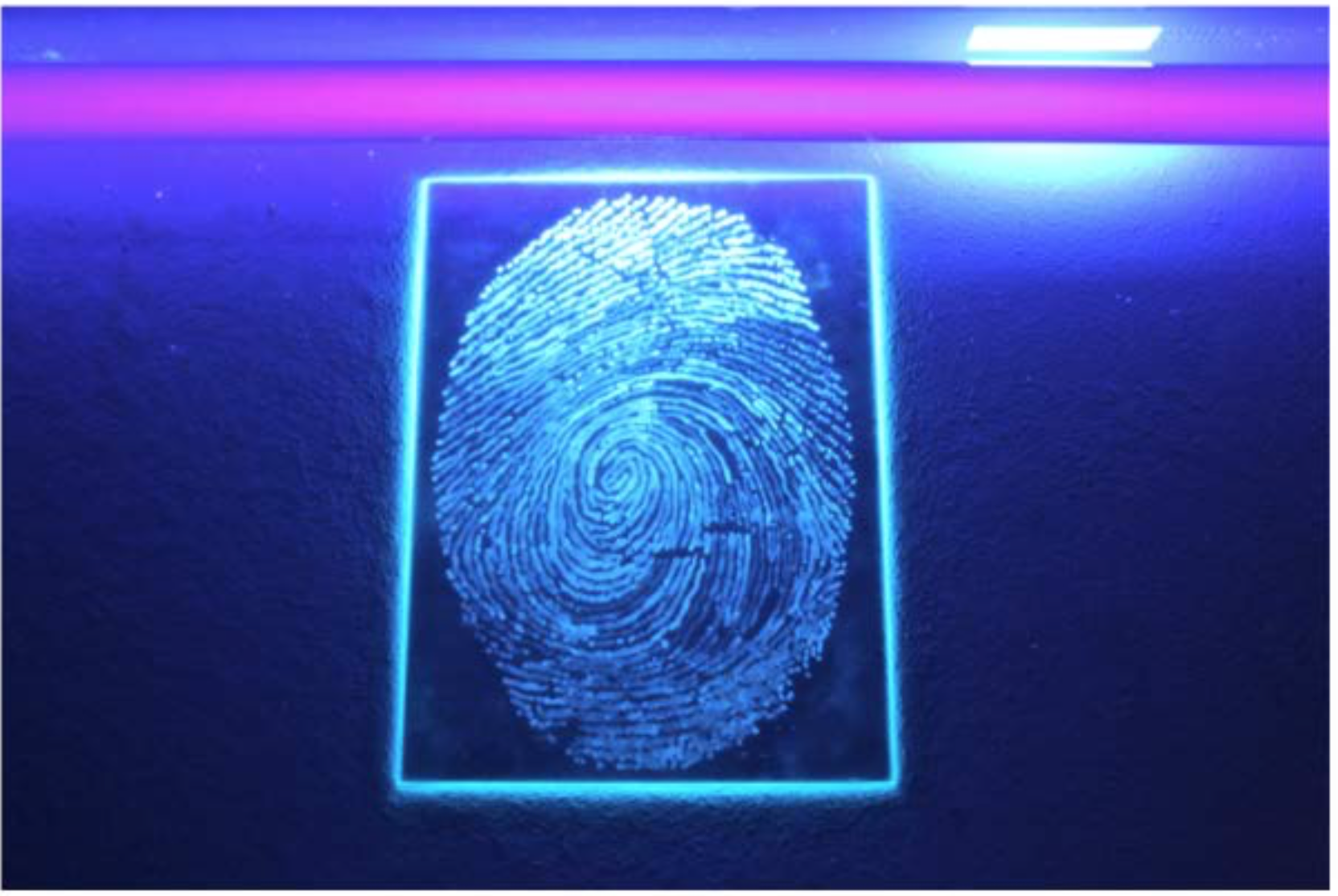 a5 fingerprint drawn with permanent security marker pen. UV light shone across the glass.png