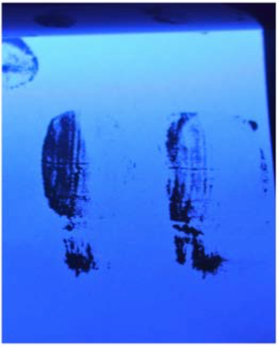 Fingerprints in white emulsion paint. Fluorescing black 2.png