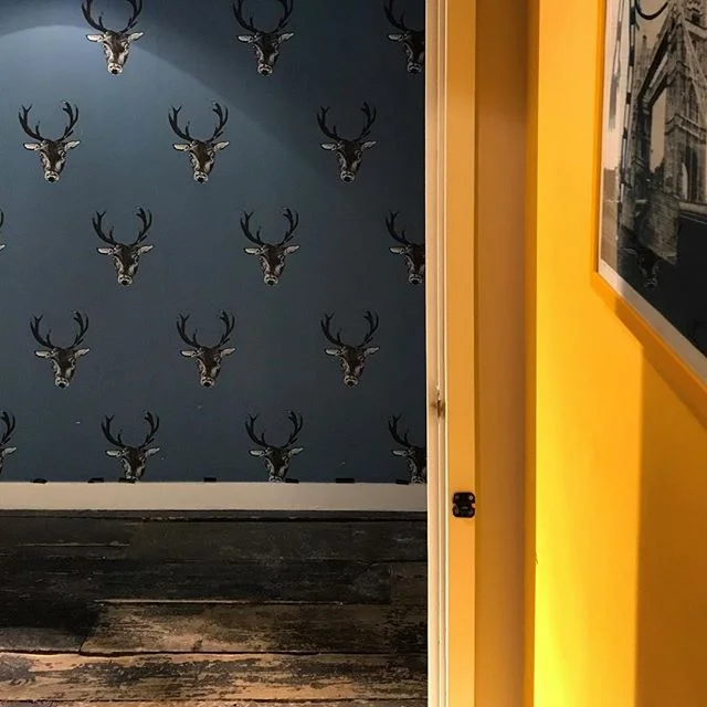 #interior #yellowandblue #woodenfloor