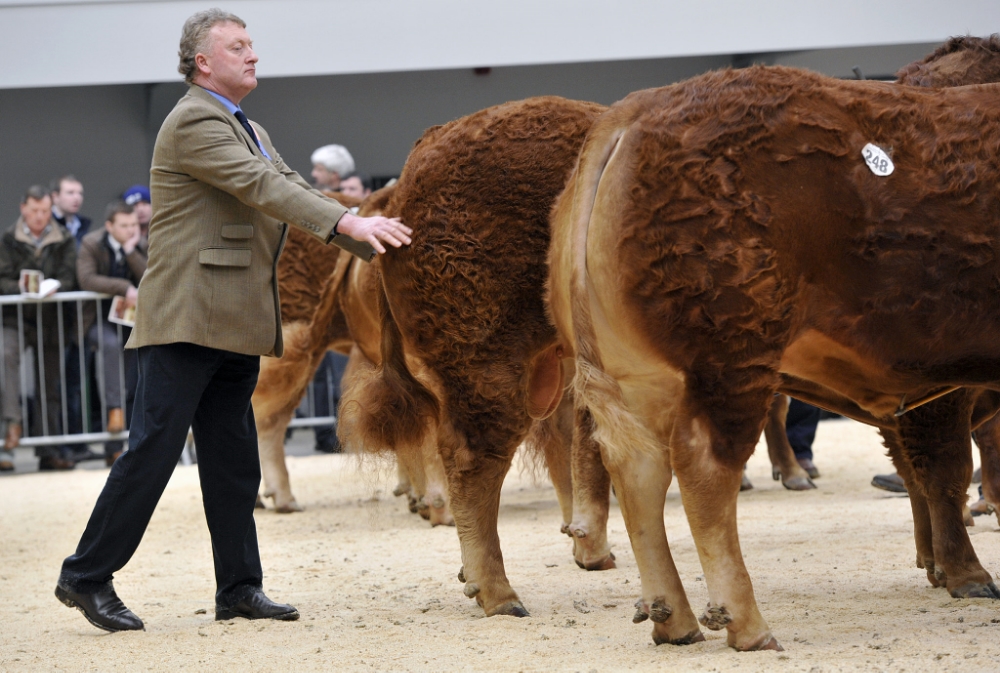 Gary judging at Carlisle