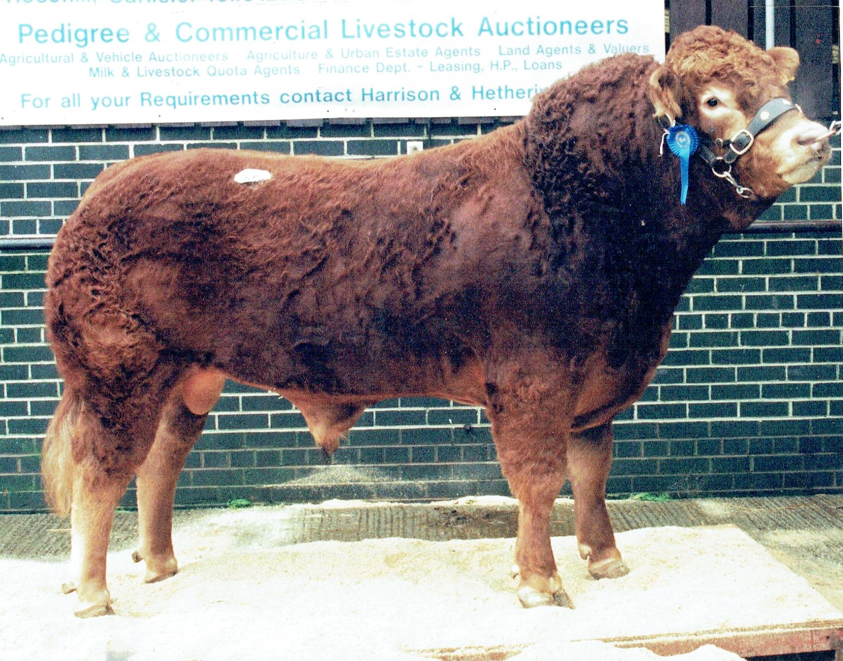 Neutron 14,000gns