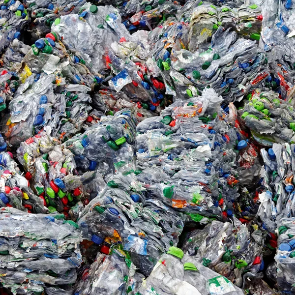 The Result of Water From Plastic Bottles
