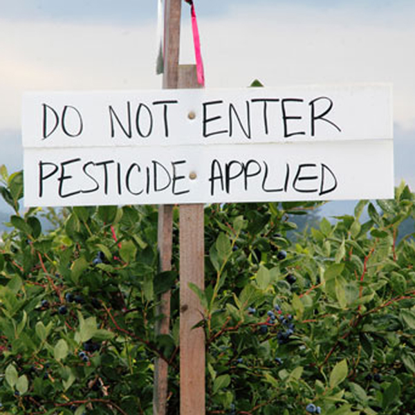 Pesticides and well water. How to protect your family.