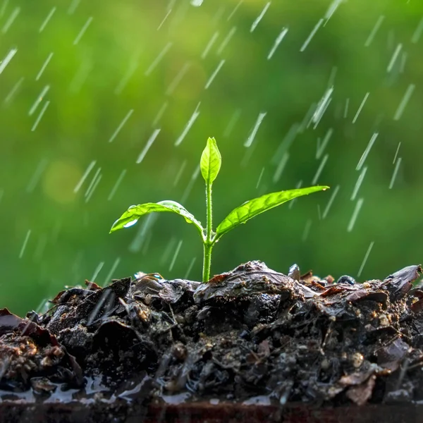 Massachusetts well irrigation systems