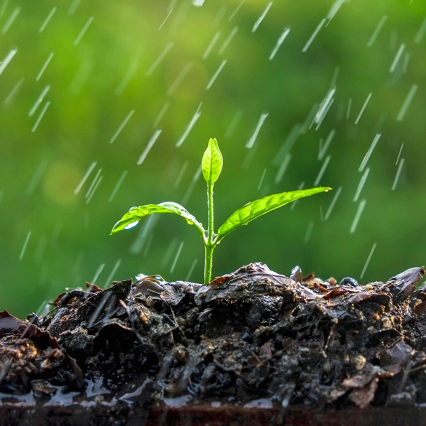 Massachusetts well irrigation systems