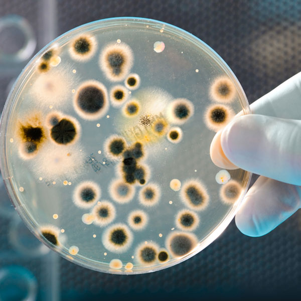Bacteria and Boil Water Warnings