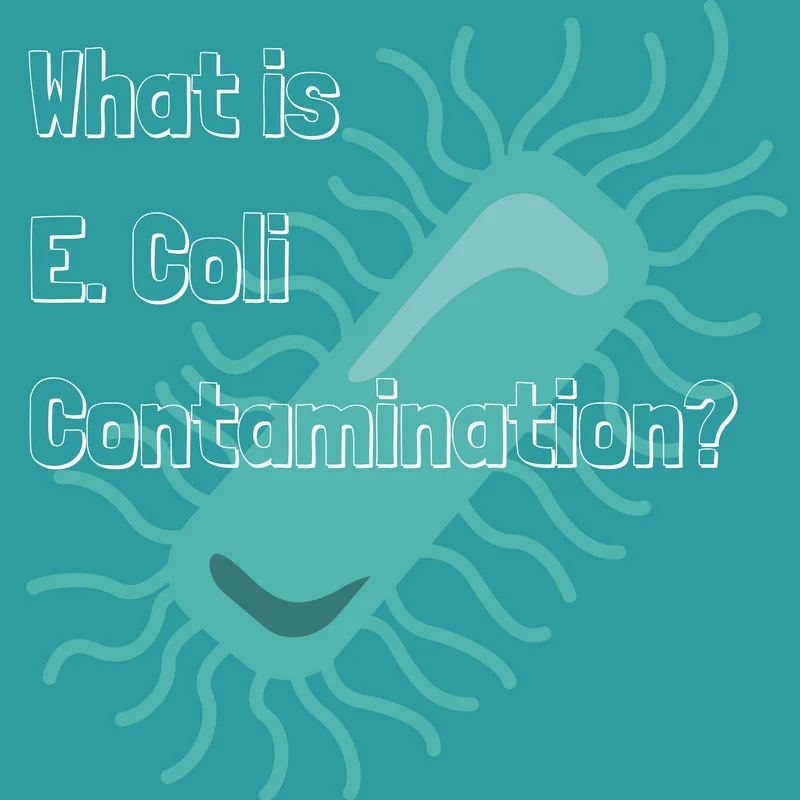 Water Treatment Tips If Your Well Tests Positive For E. coli — Skillings & Sons, LLC NH, New