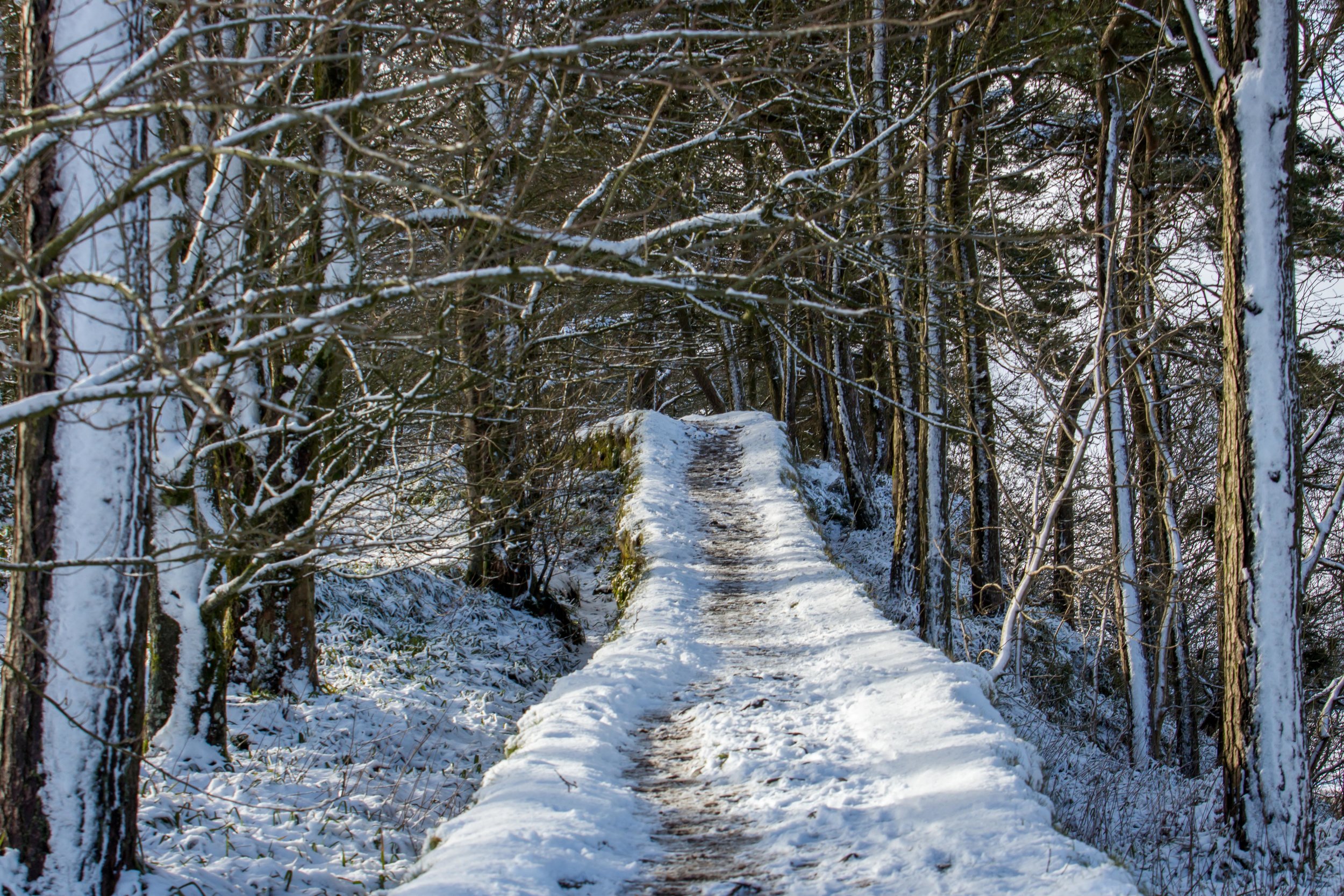 Gunnerside-4.jpg