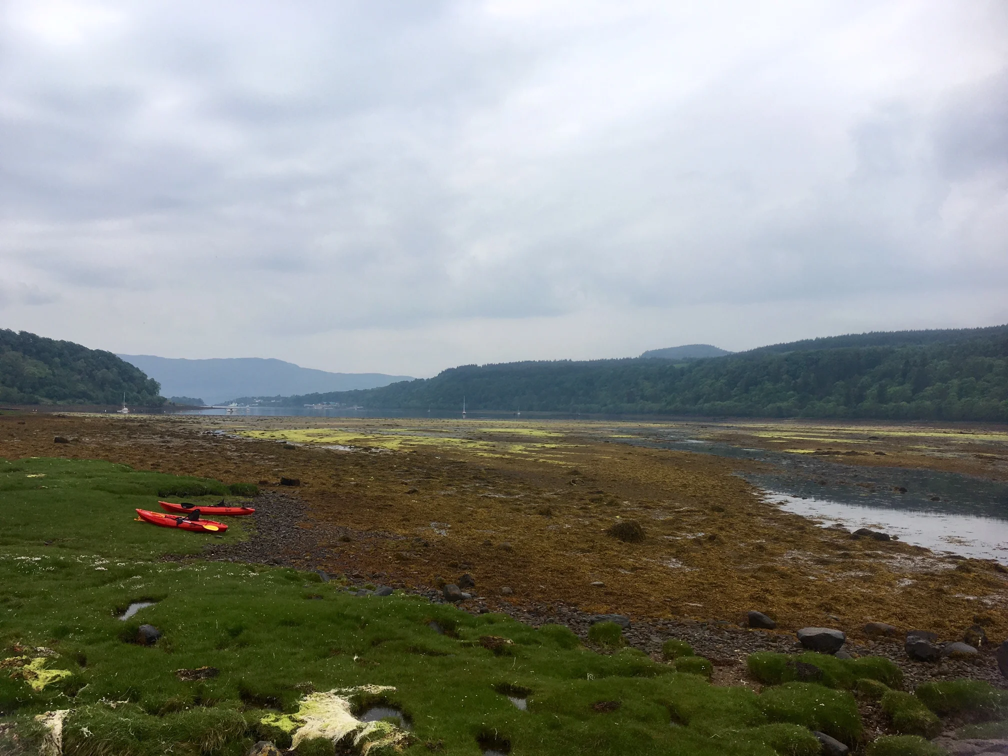 Tide out, oops!