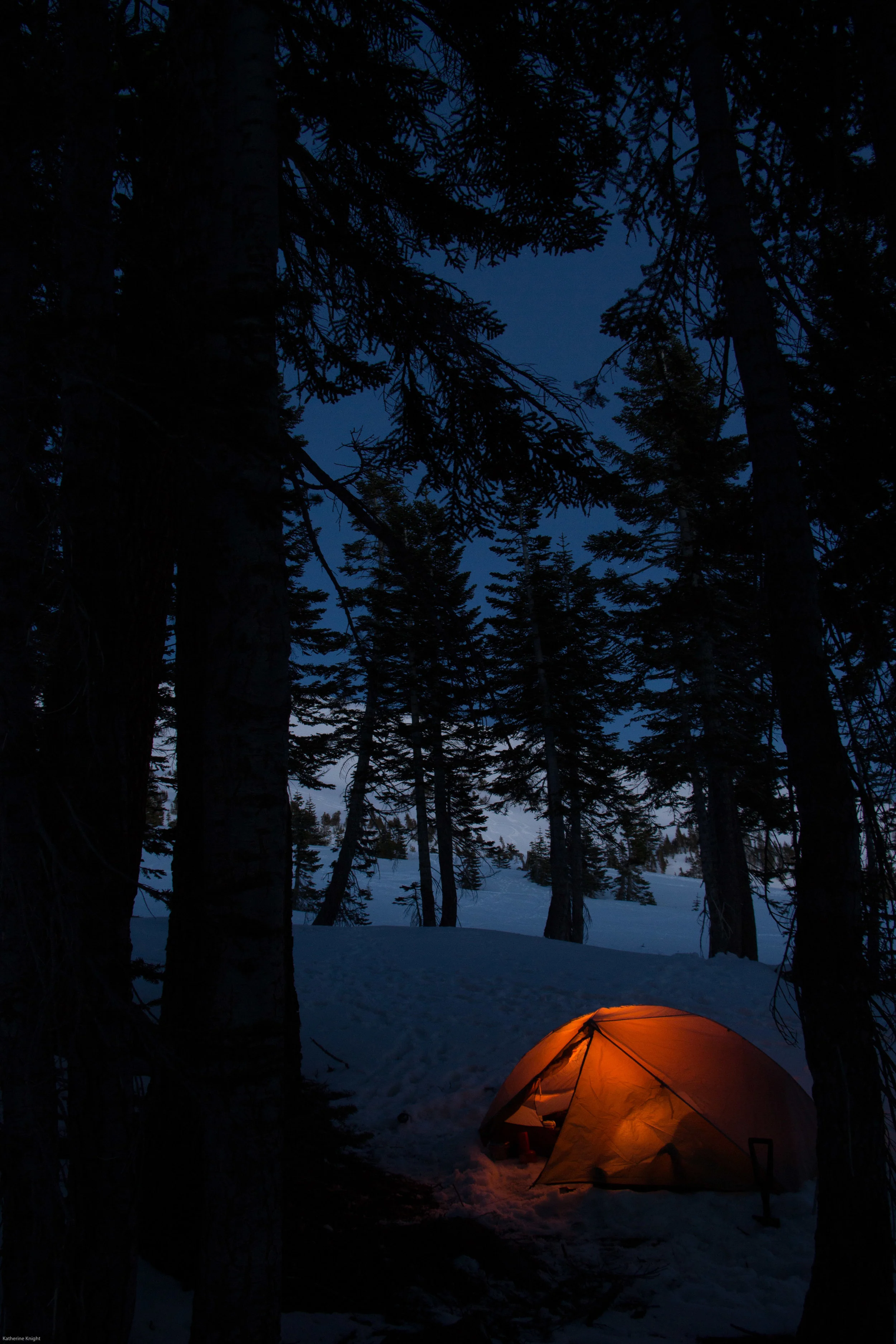 Mount_Shasta_14_04_26_534.jpg