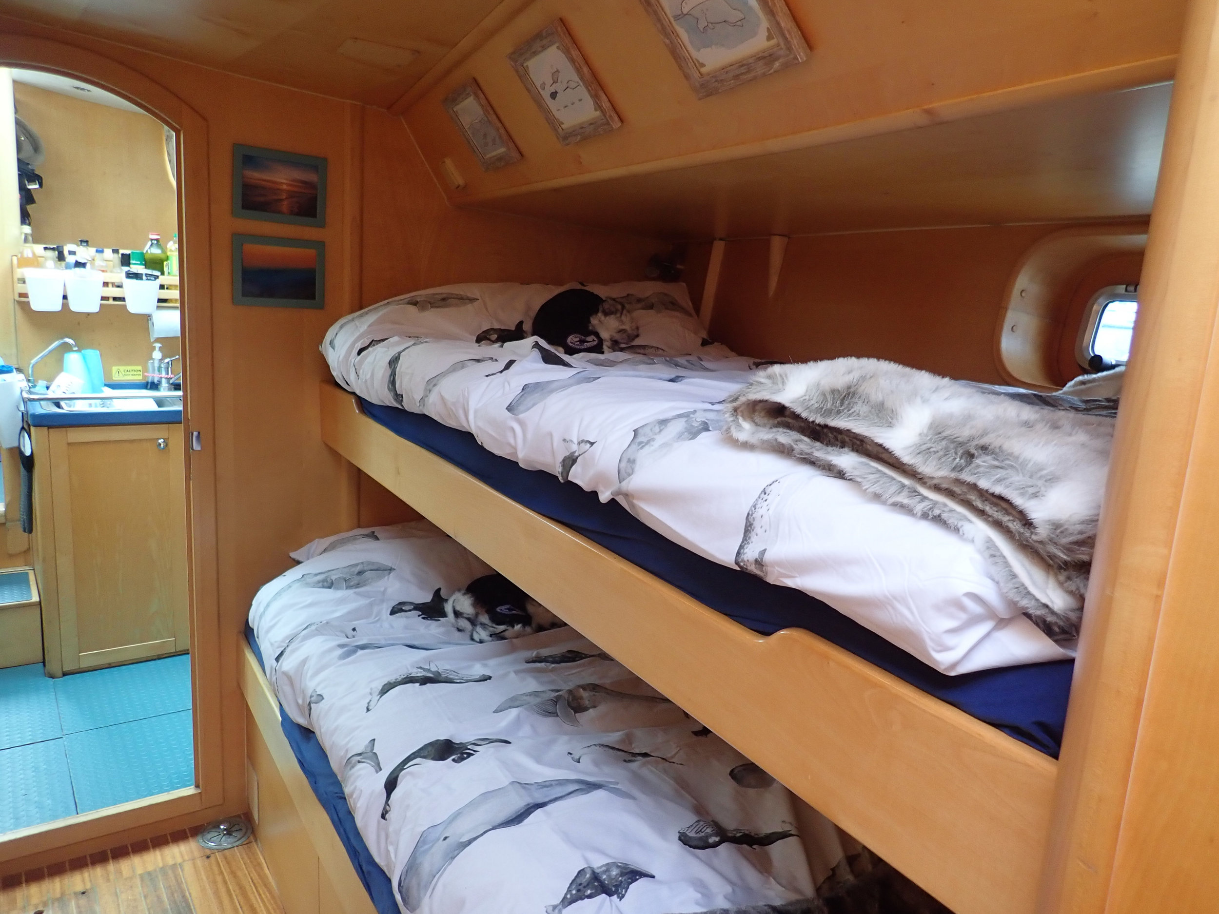 The first of Narwhal's cosy two bedded cabins