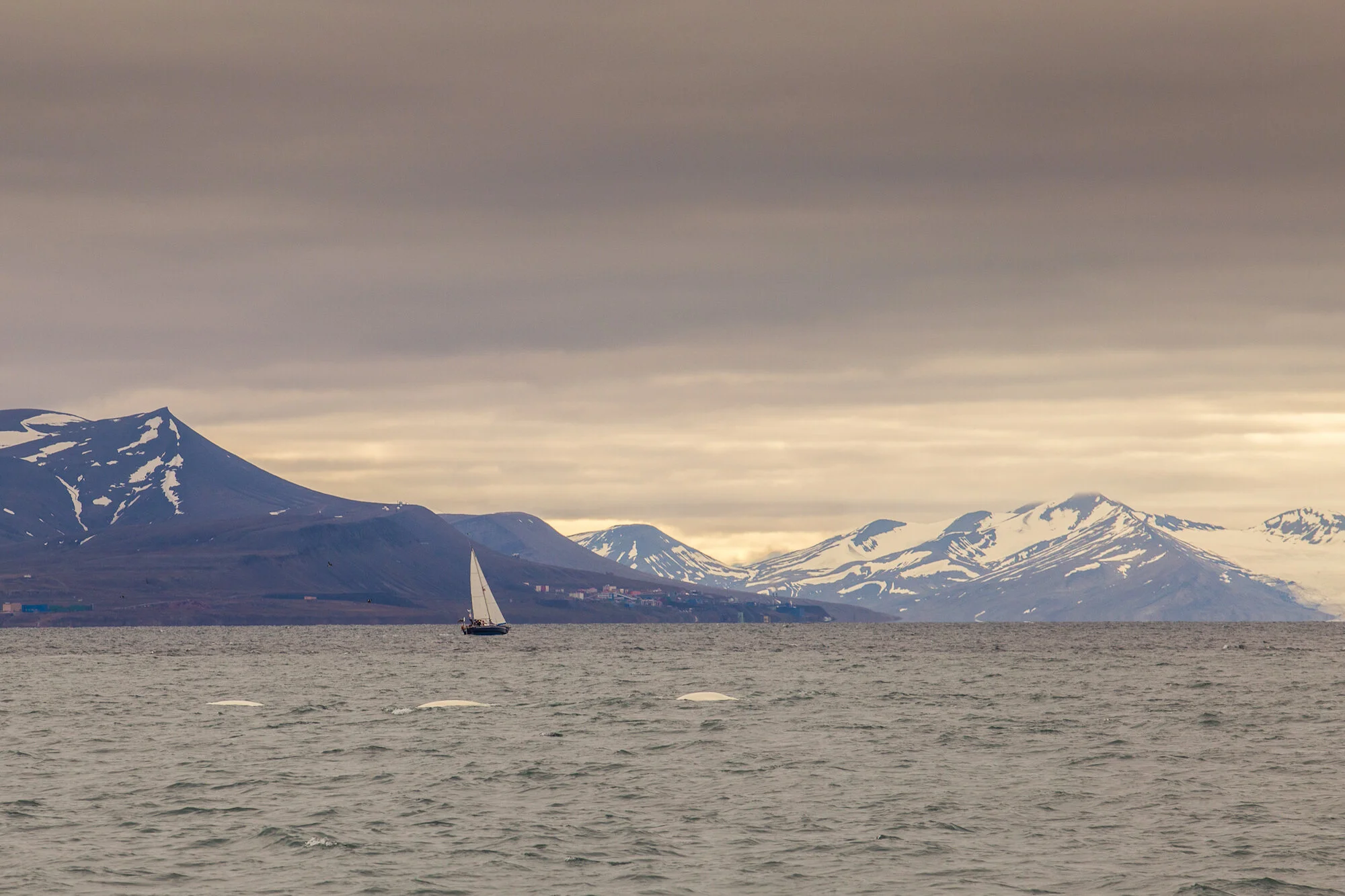 Sailing_expedition_19.jpg