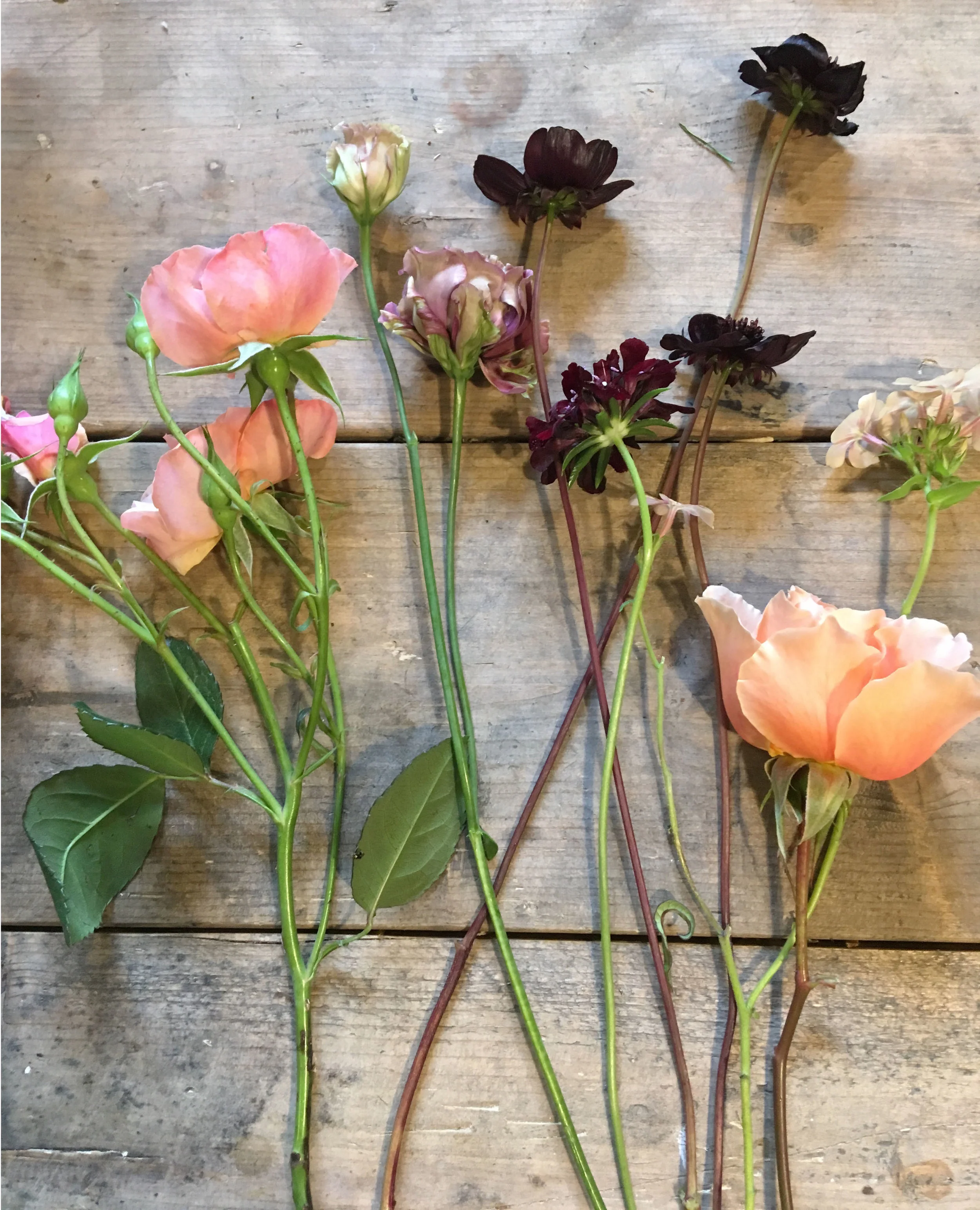 Pollen Floral Joy Birmingham Florist Workshops.jpg