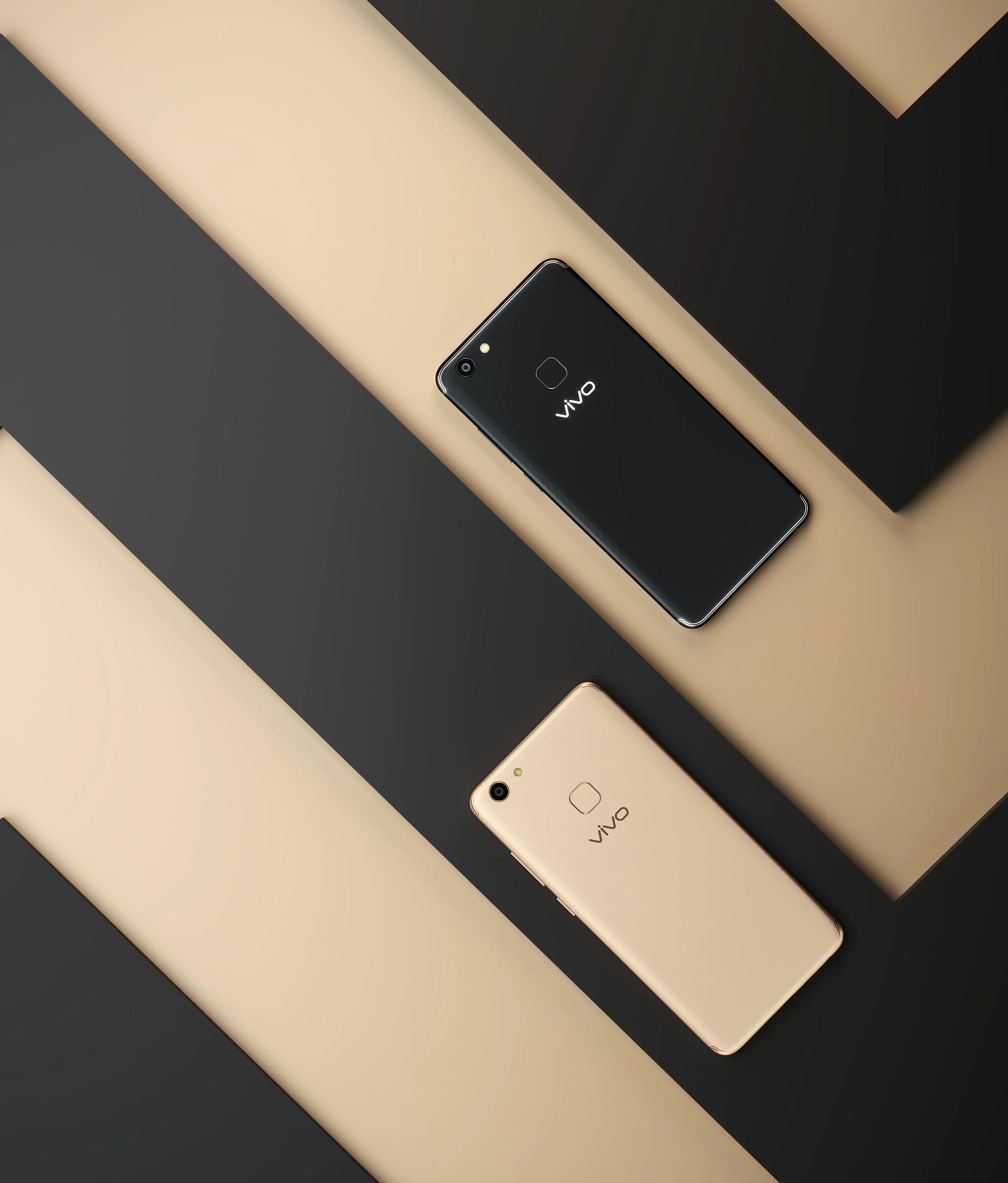 Vivo_Concept 4_Layout 04.jpg