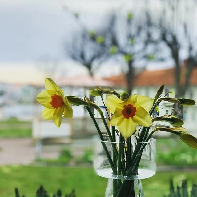 Glad påsk från paradisparken🐣🥂 Öppet ikväll från 18.30 - Verandan eller take away🧡