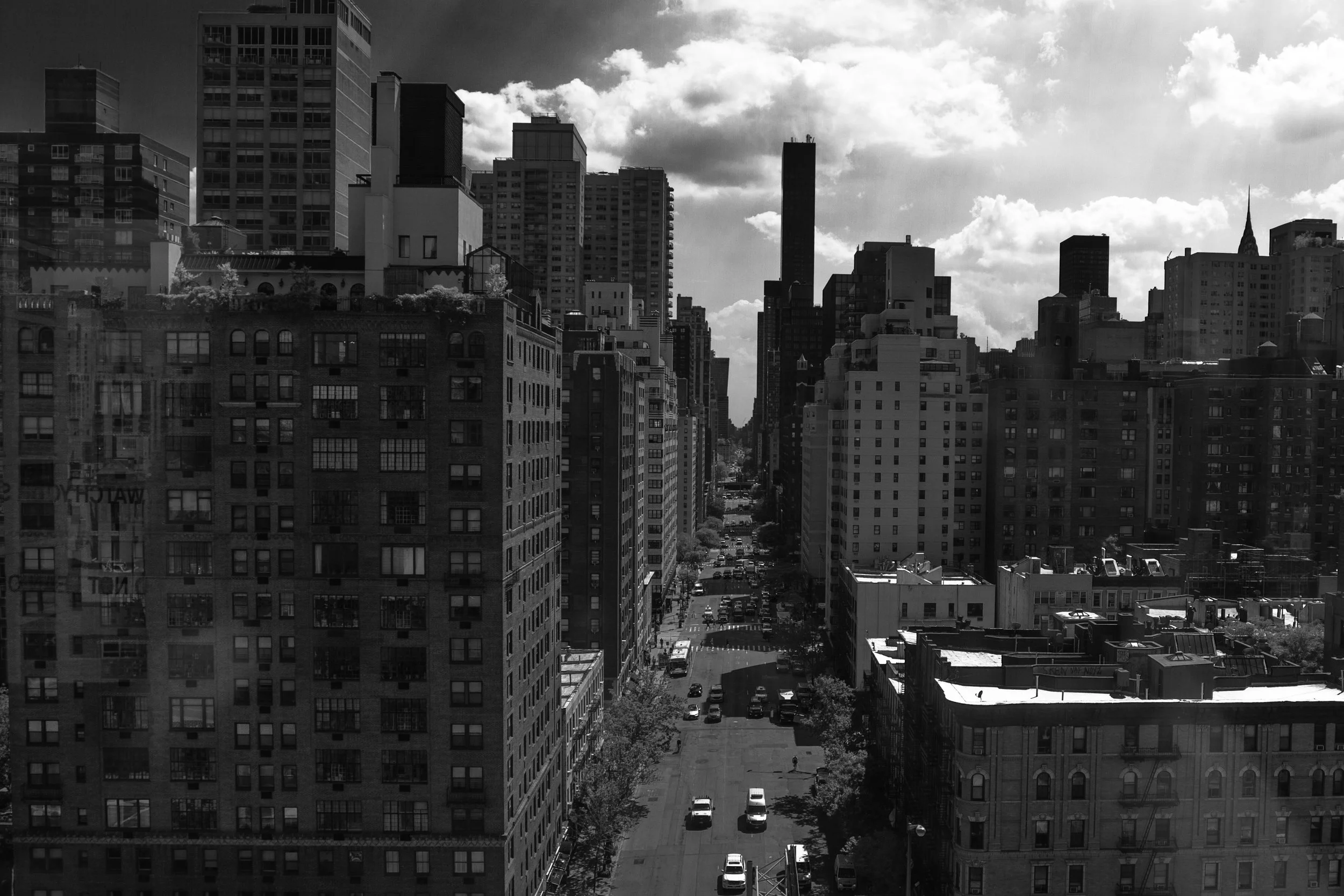 Concrete Jungle