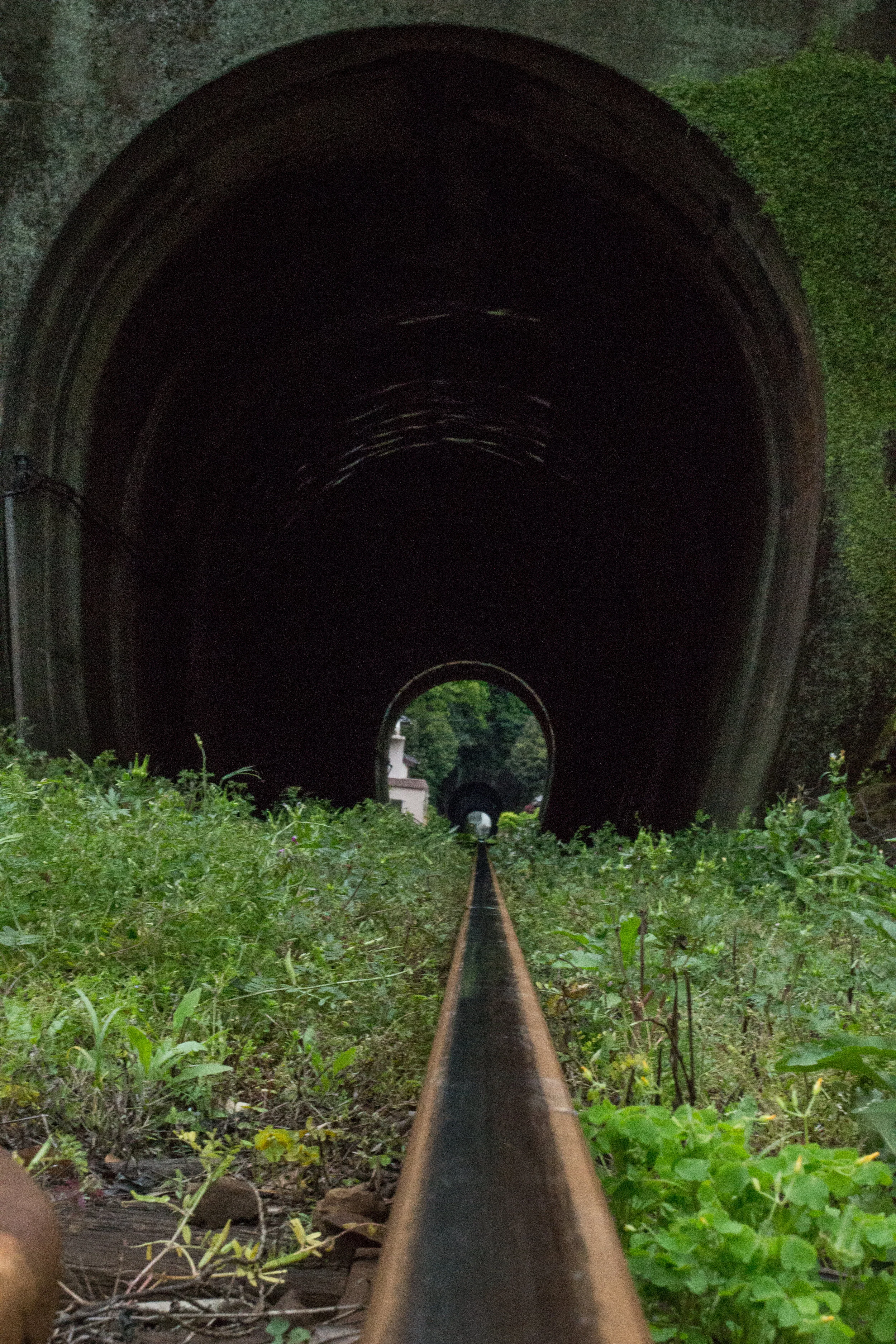 Leading Lines