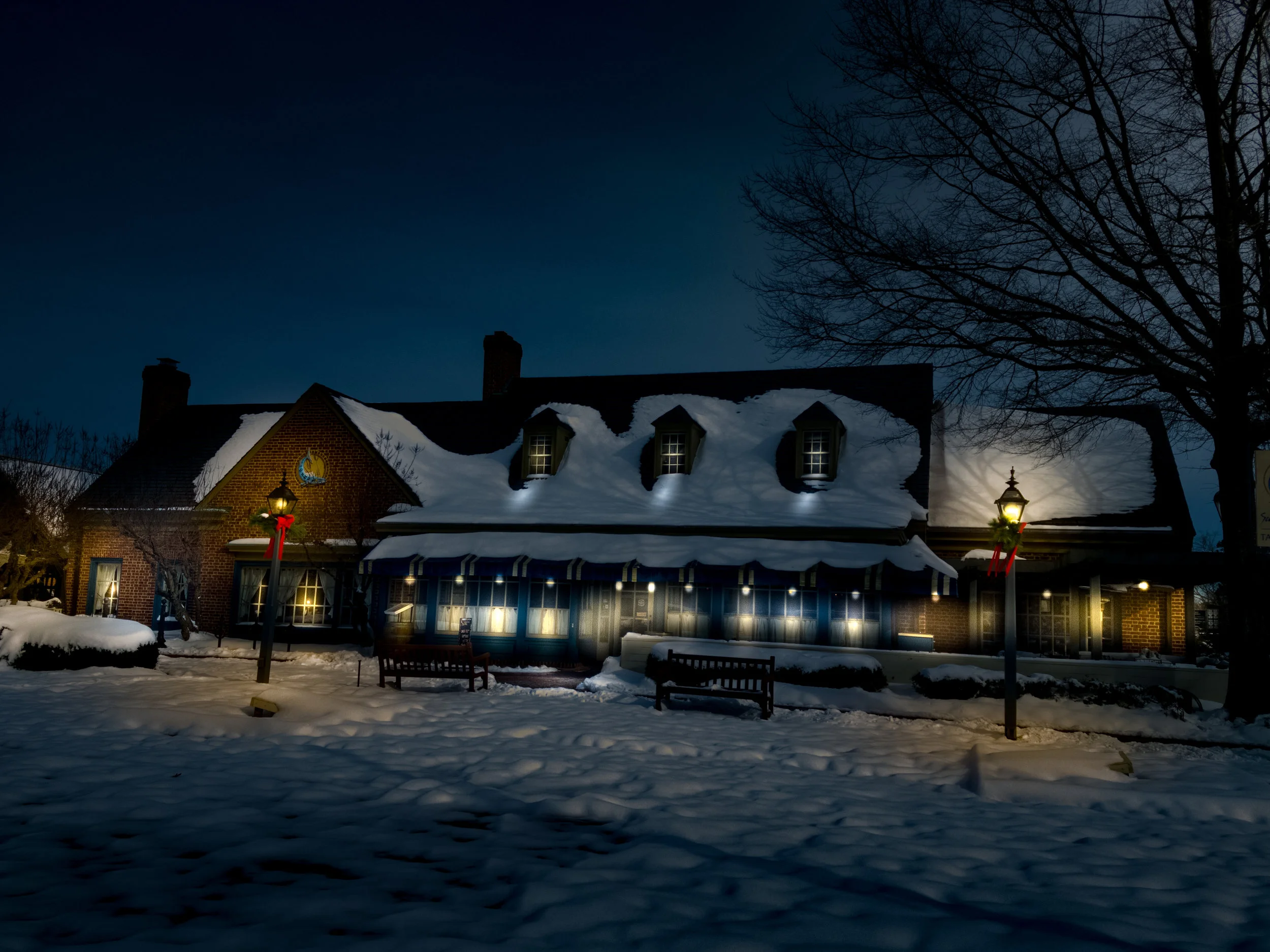 Winter Wonderland