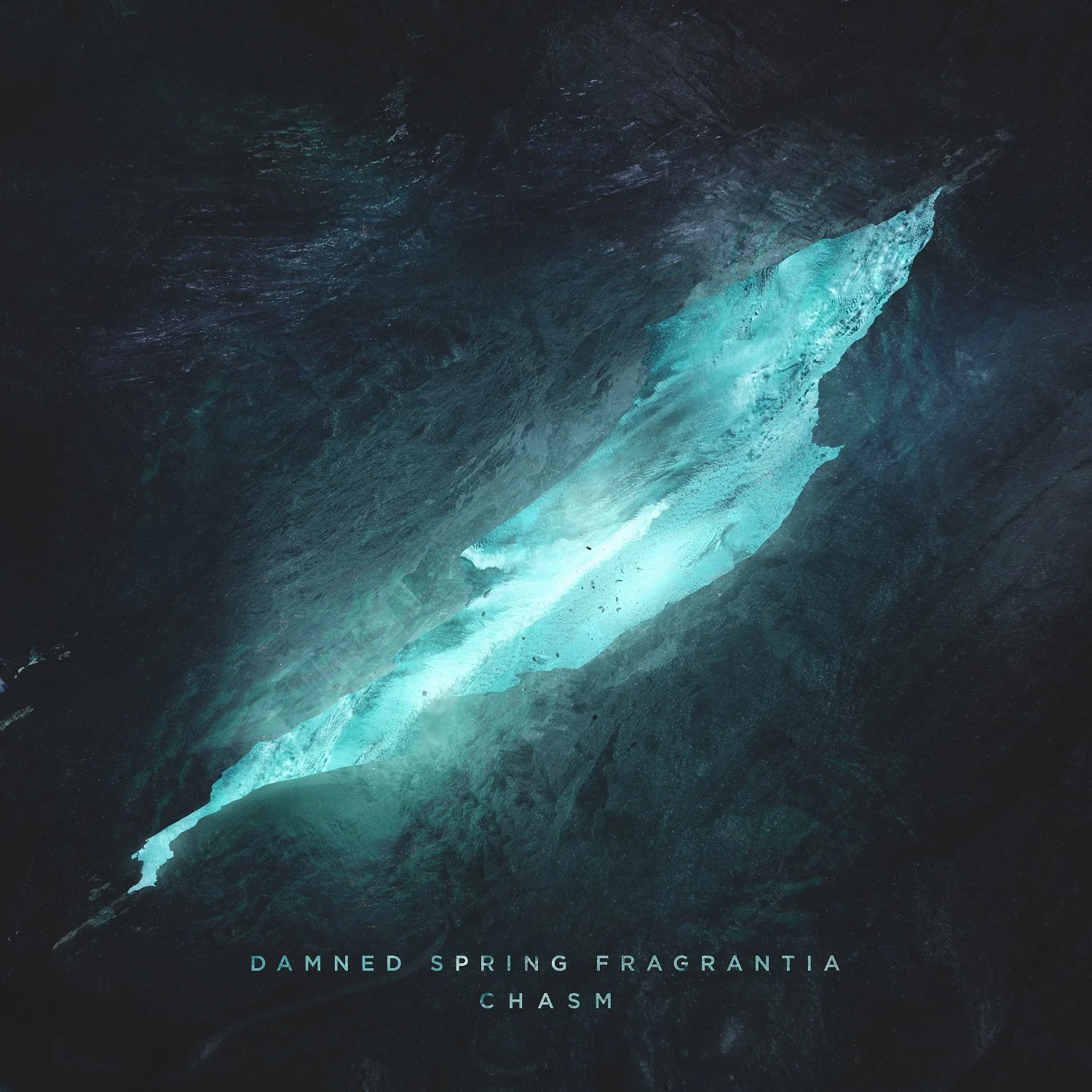 DSF_CHASM small.jpg