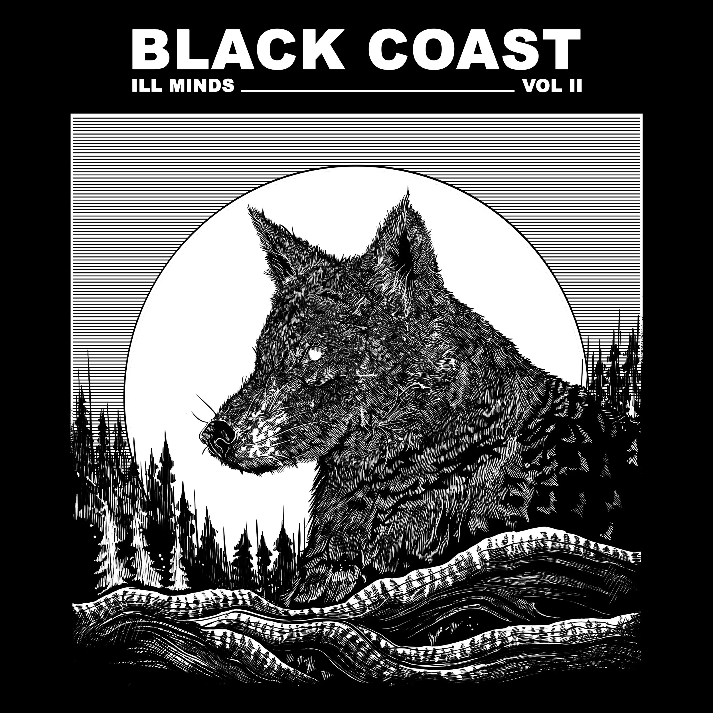 blackcoast_IM2.jpg