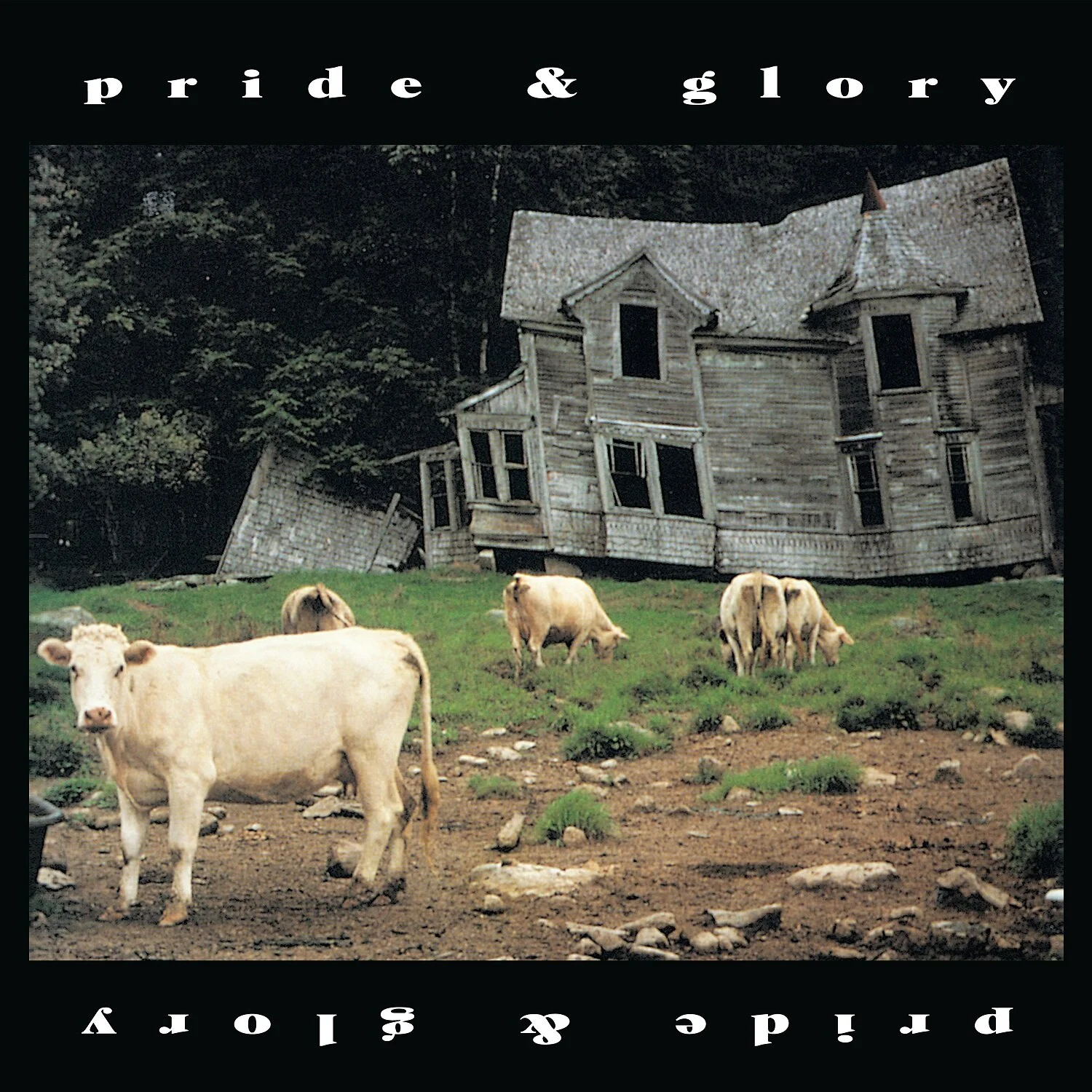 PrideAndGlory_Cover_1500px.jpg