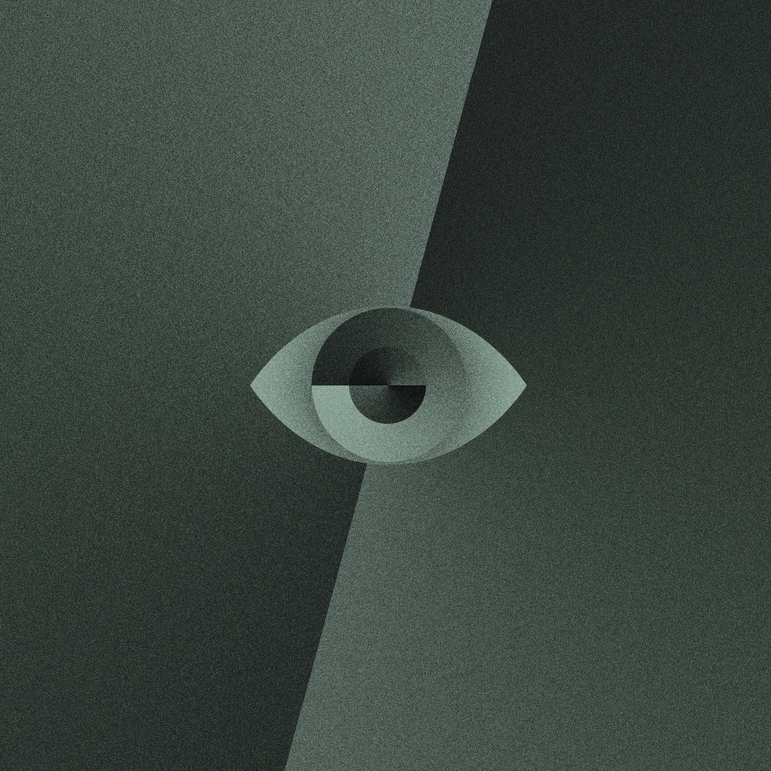 Track listing:  1. Awake // Sedate 2. Youth // Decay 3. Awake // Sedate (Holy Fawn Remix) 4. Youth // Decay (hisself Remix) 5. Open Wounds (U DYE Remix) 6. Prayers (Giuseppe Capolupo Remix)