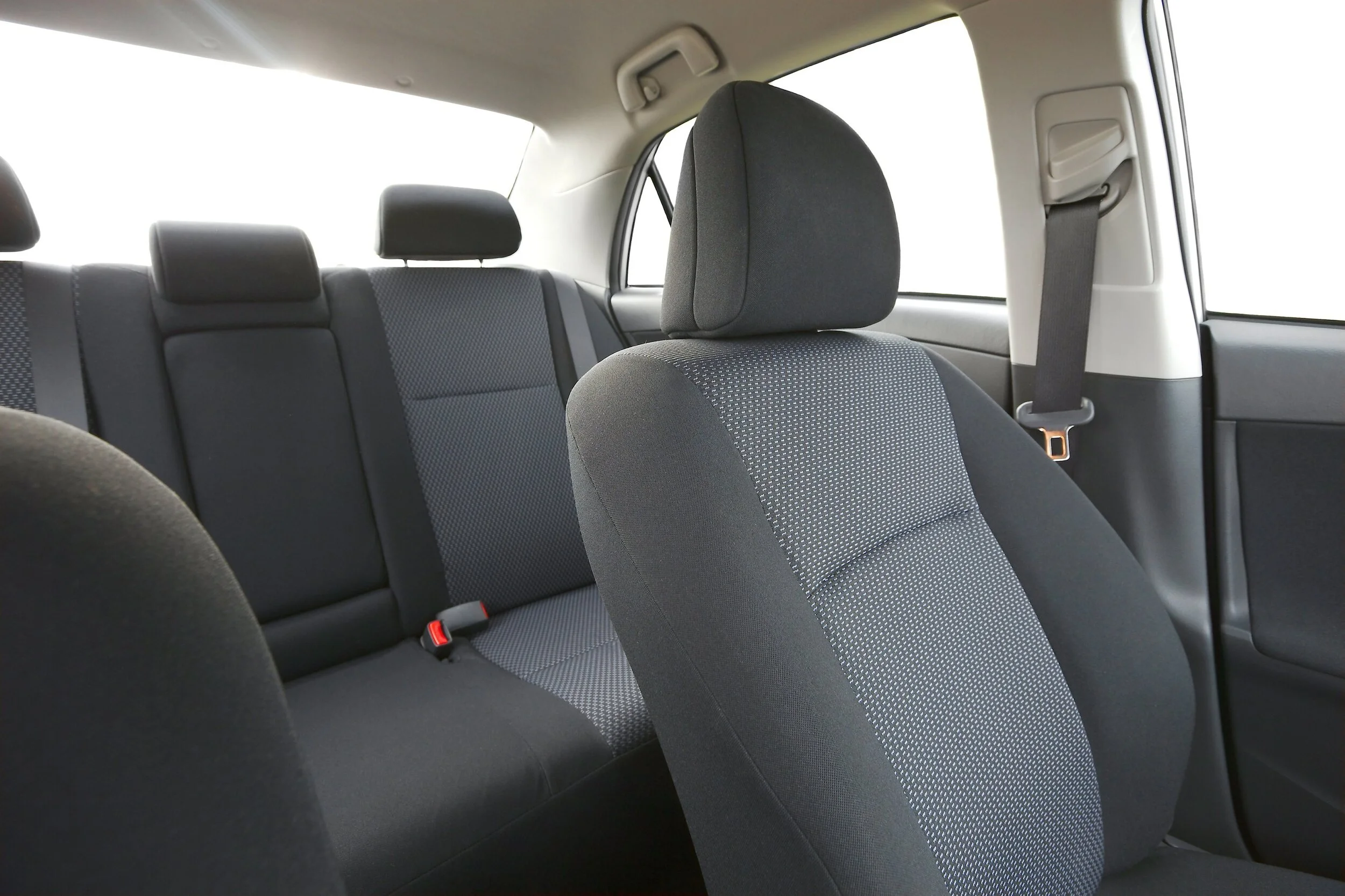 seat back.jpg