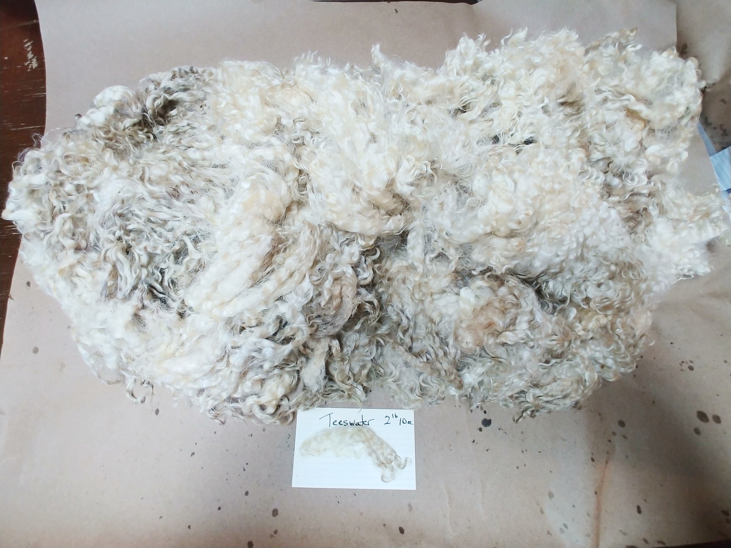20180628_142106.jpg
