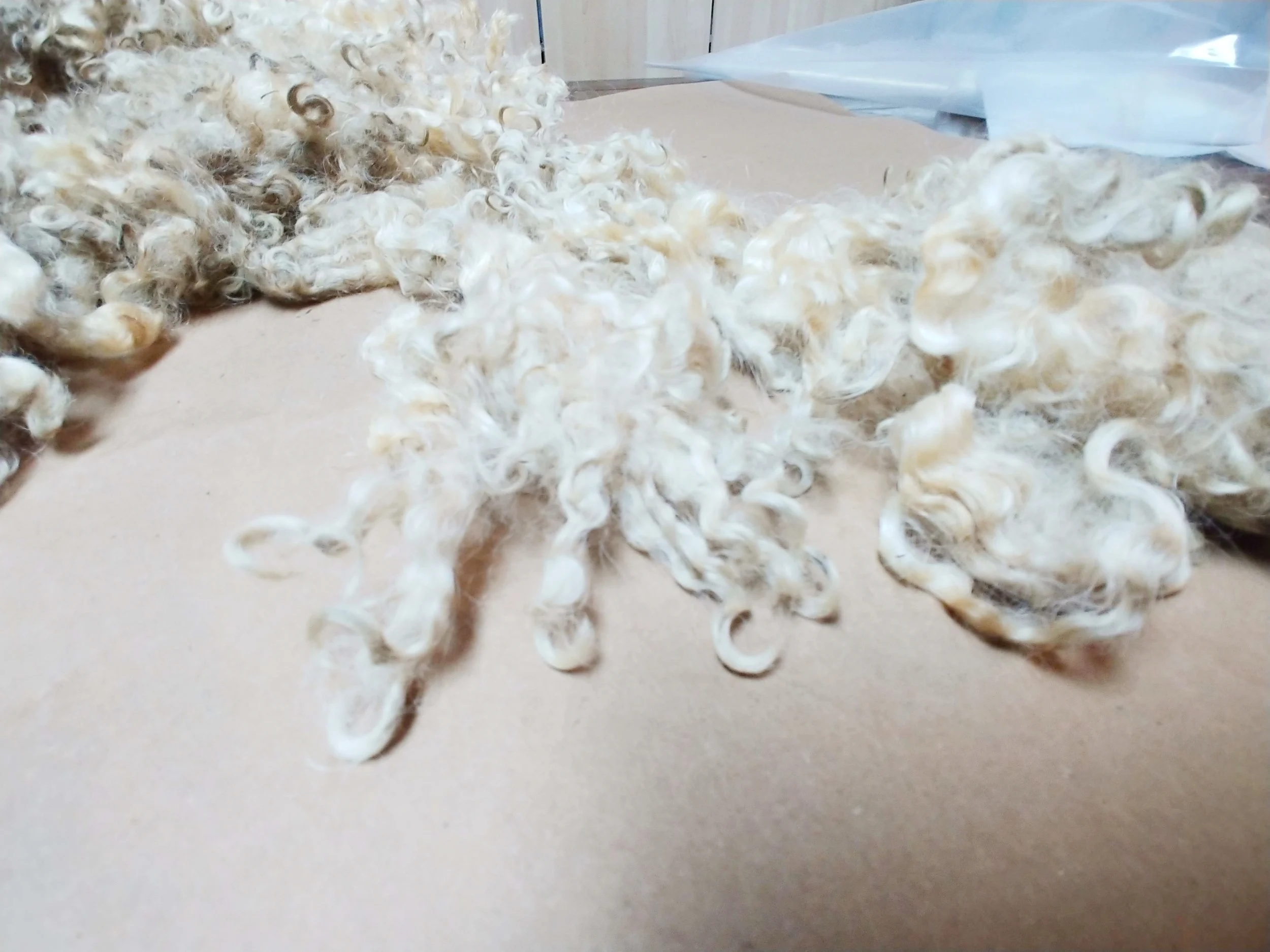 20180628_135641.jpg