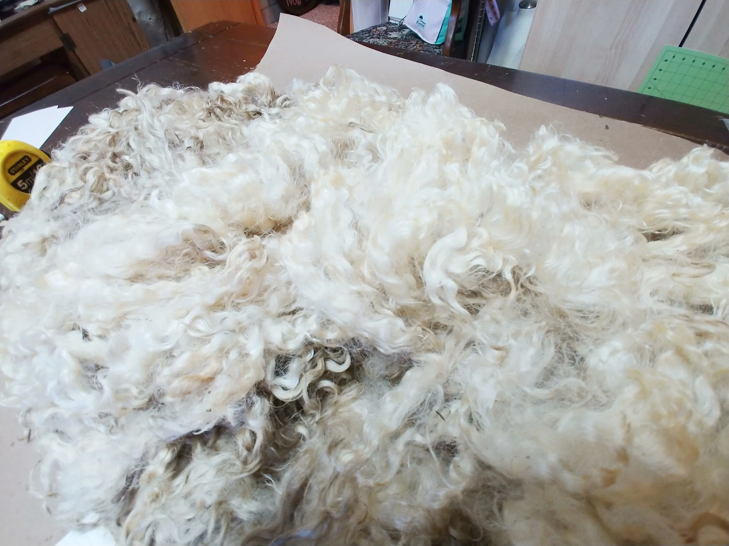20180628_142114.jpg