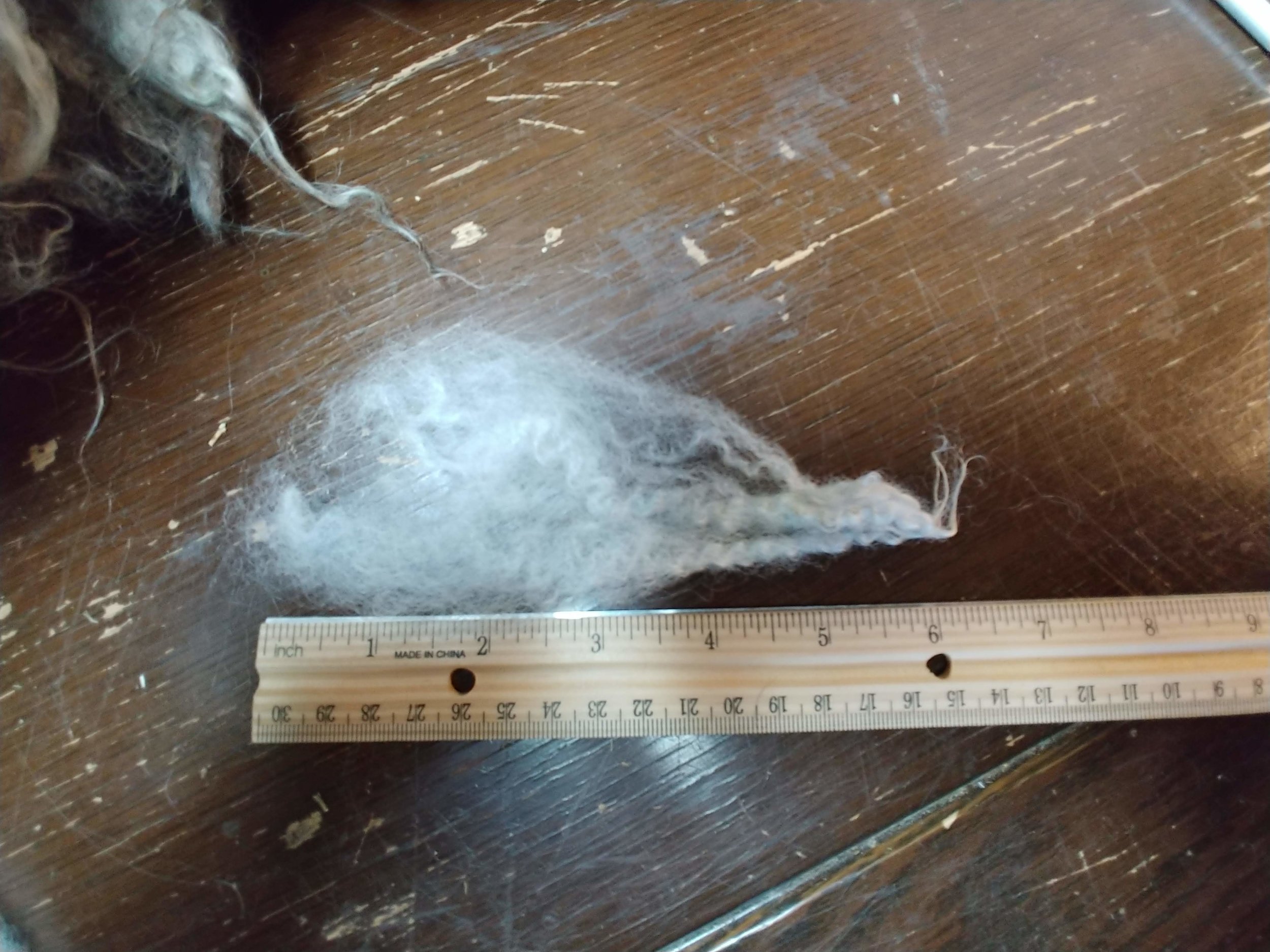 20180702_200137.jpg