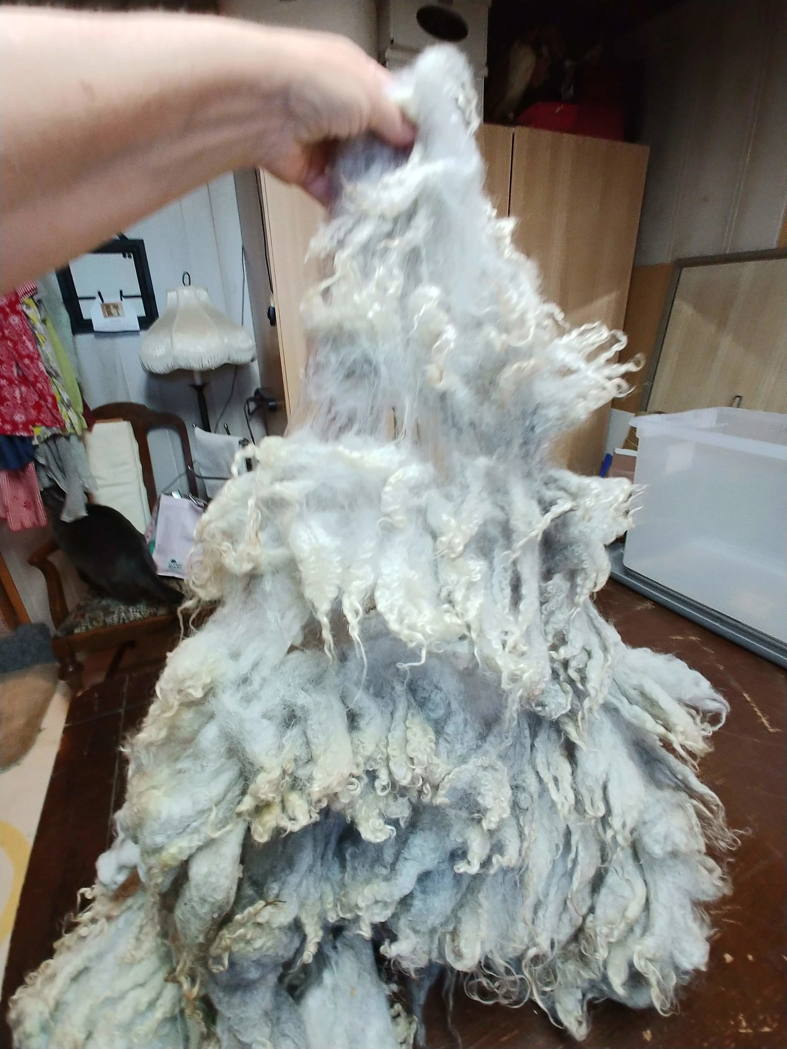 20180702_200033.jpg