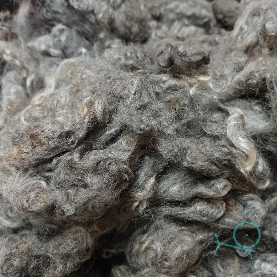 20181109_101041.jpg