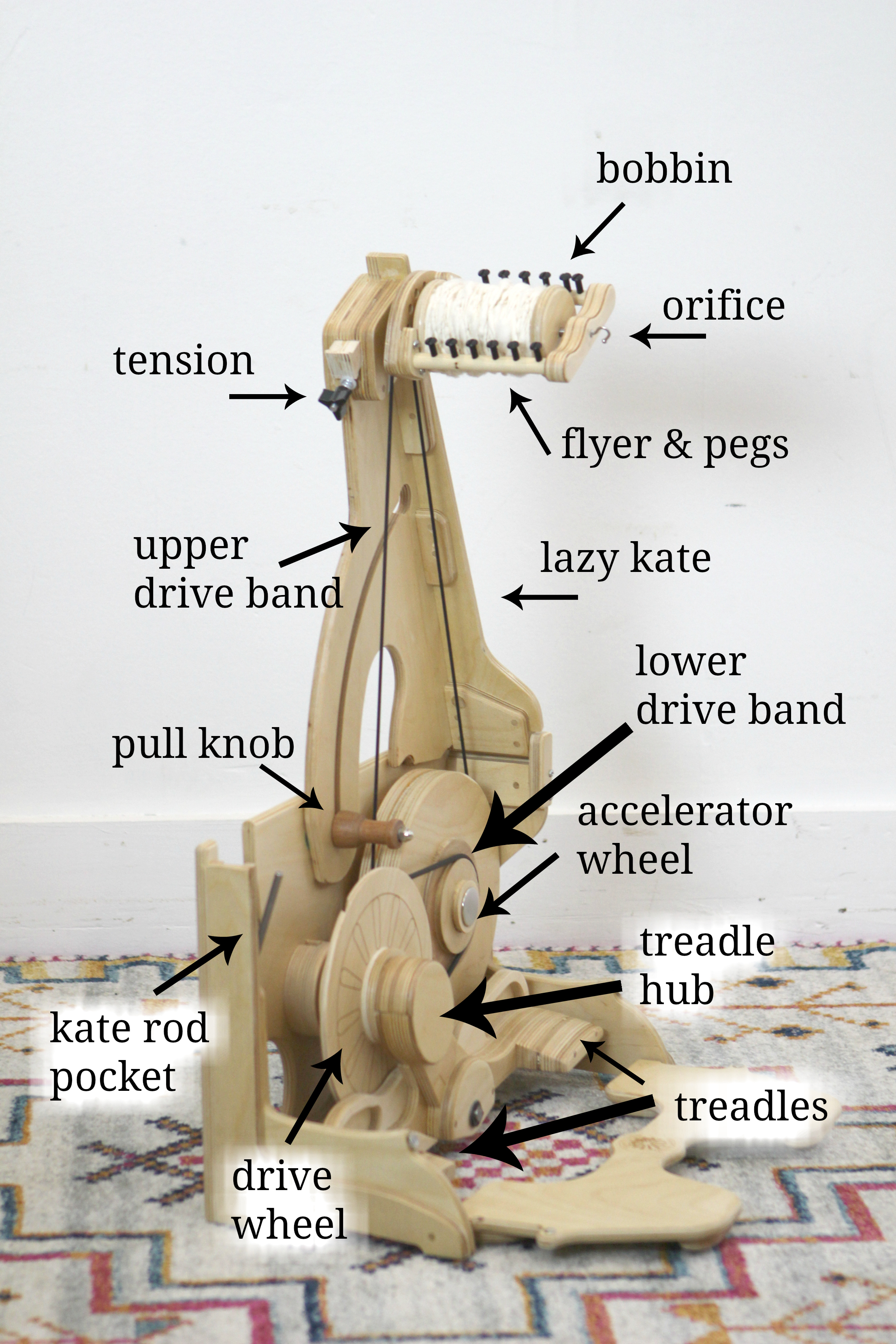 Bee Diagram.jpg