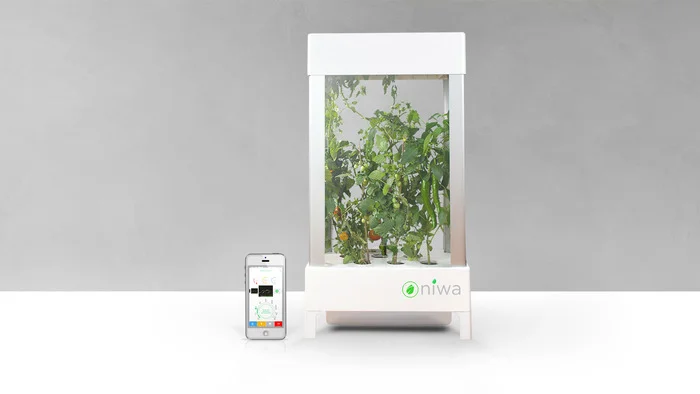 Grow your own kitchen appliance