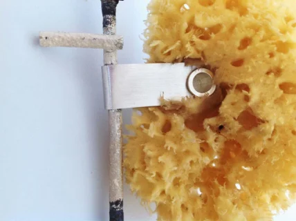 'Suck: a ba starter'