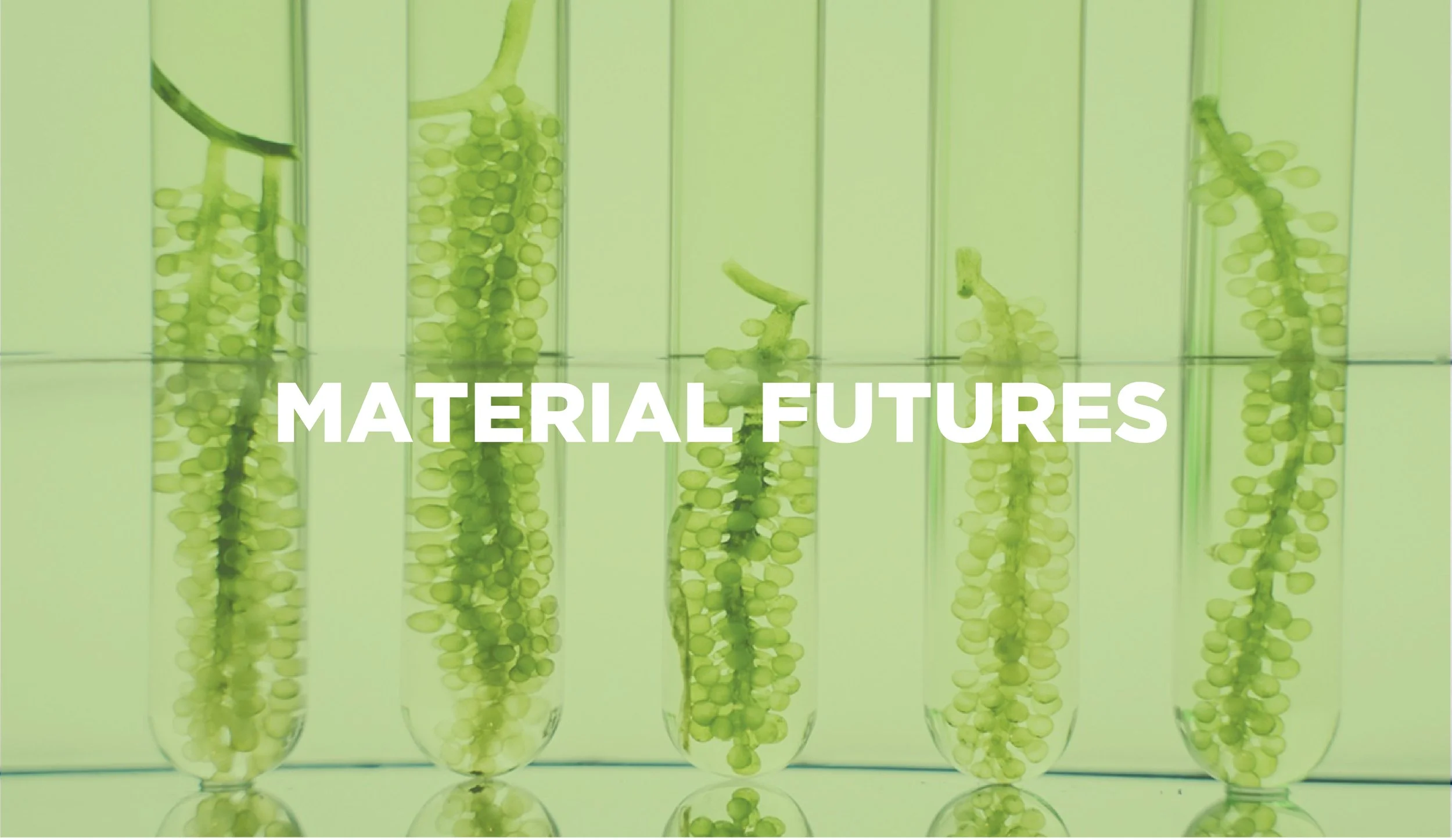 FF-2025-website pages-01.jpg