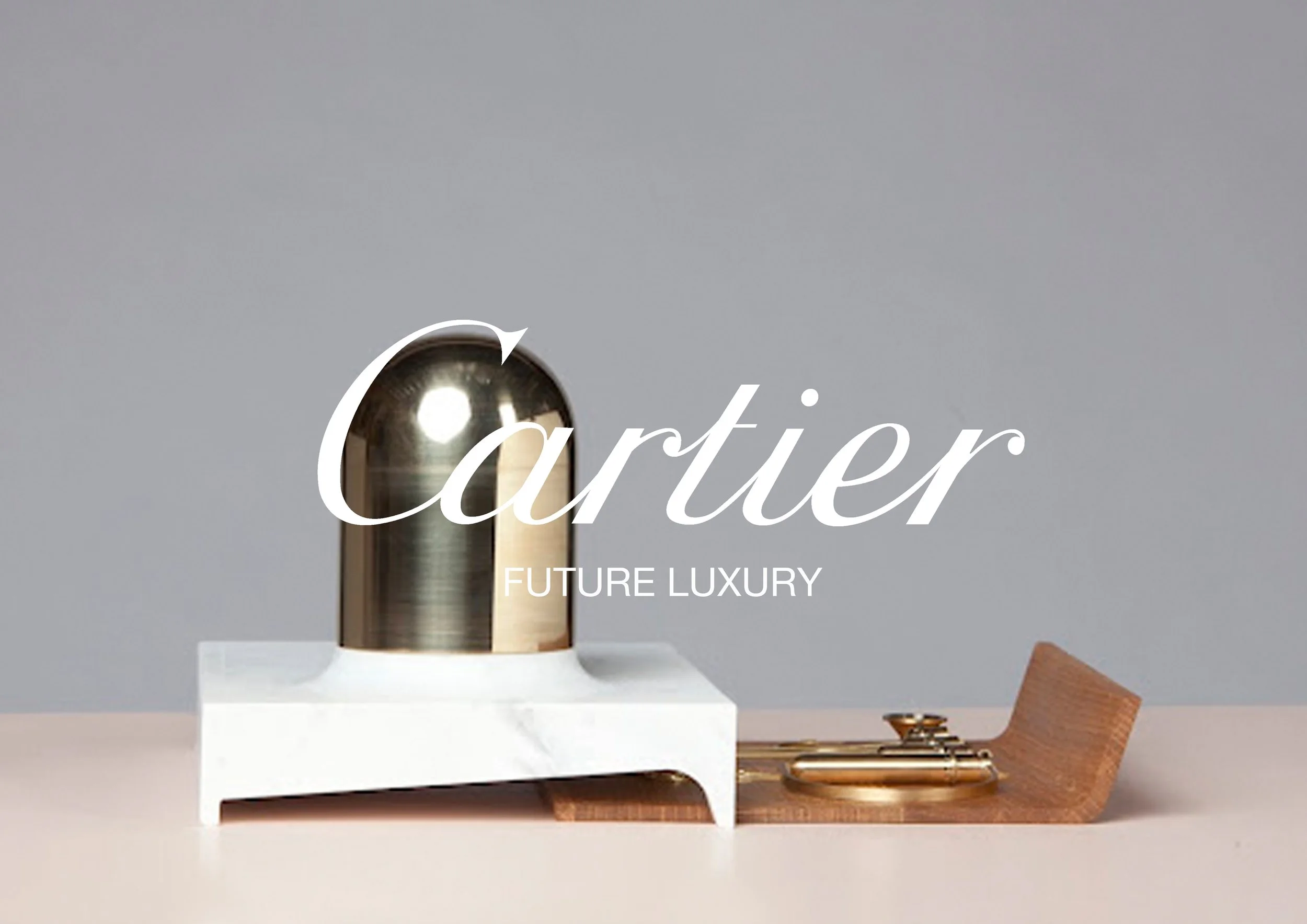 FF website future luxury.jpg