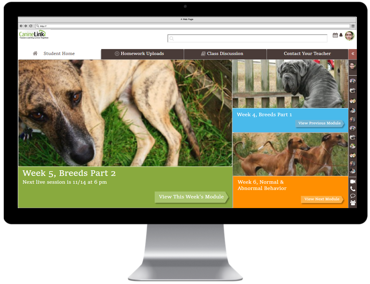 Final versions accepted by client