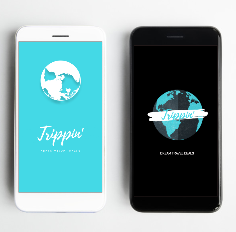  Dark and light versions of the application   