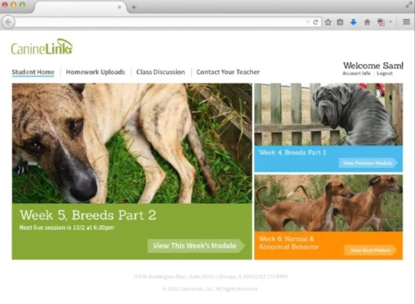 Canine Link Portal