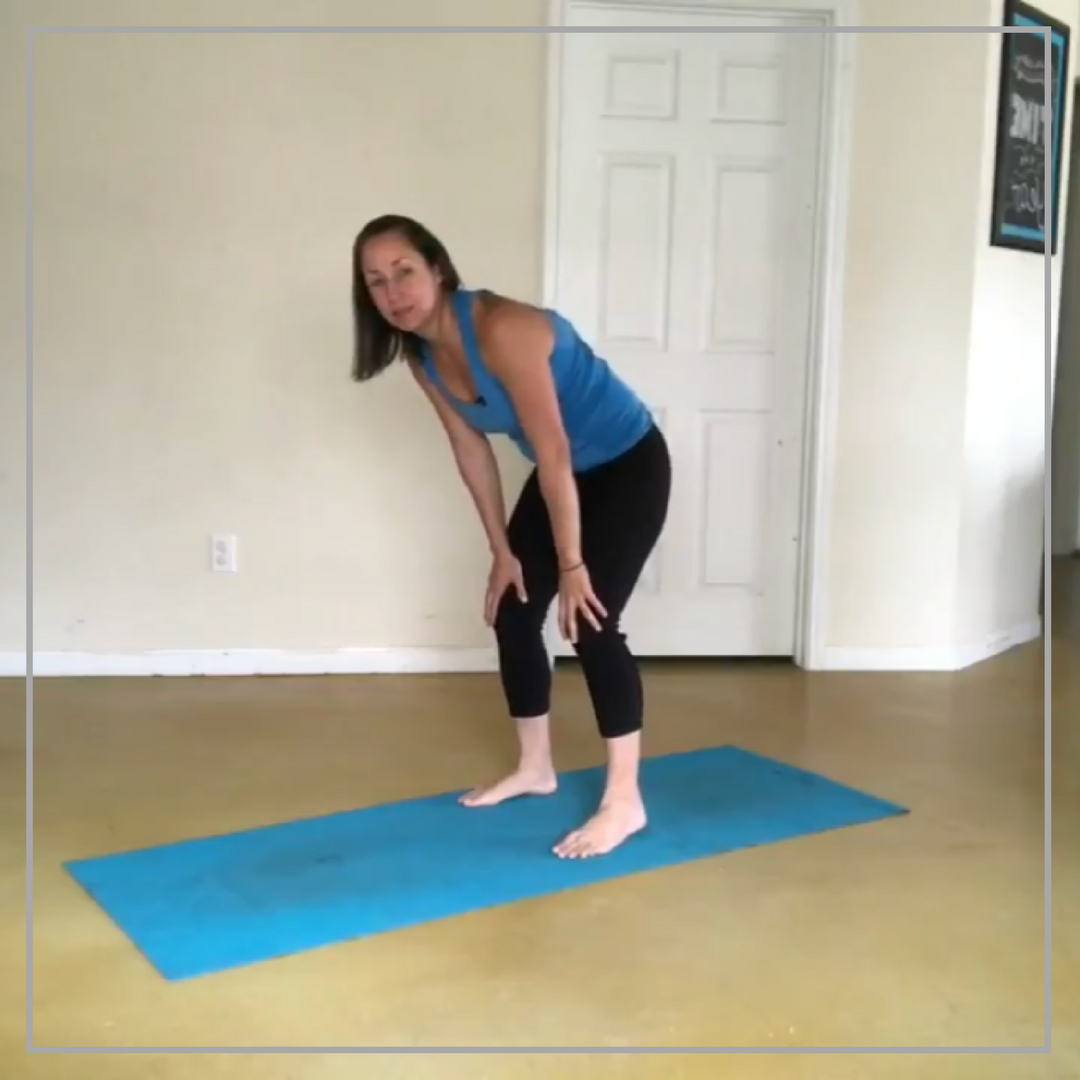 Dinsoaur pose