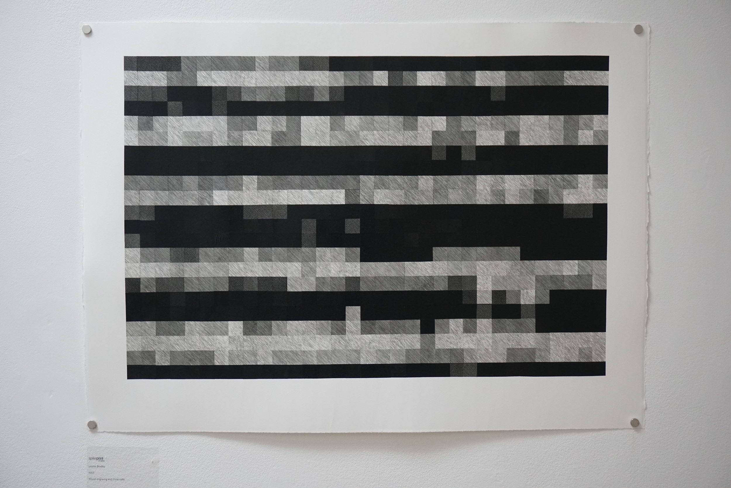 Input Leonie Bradley.JPG