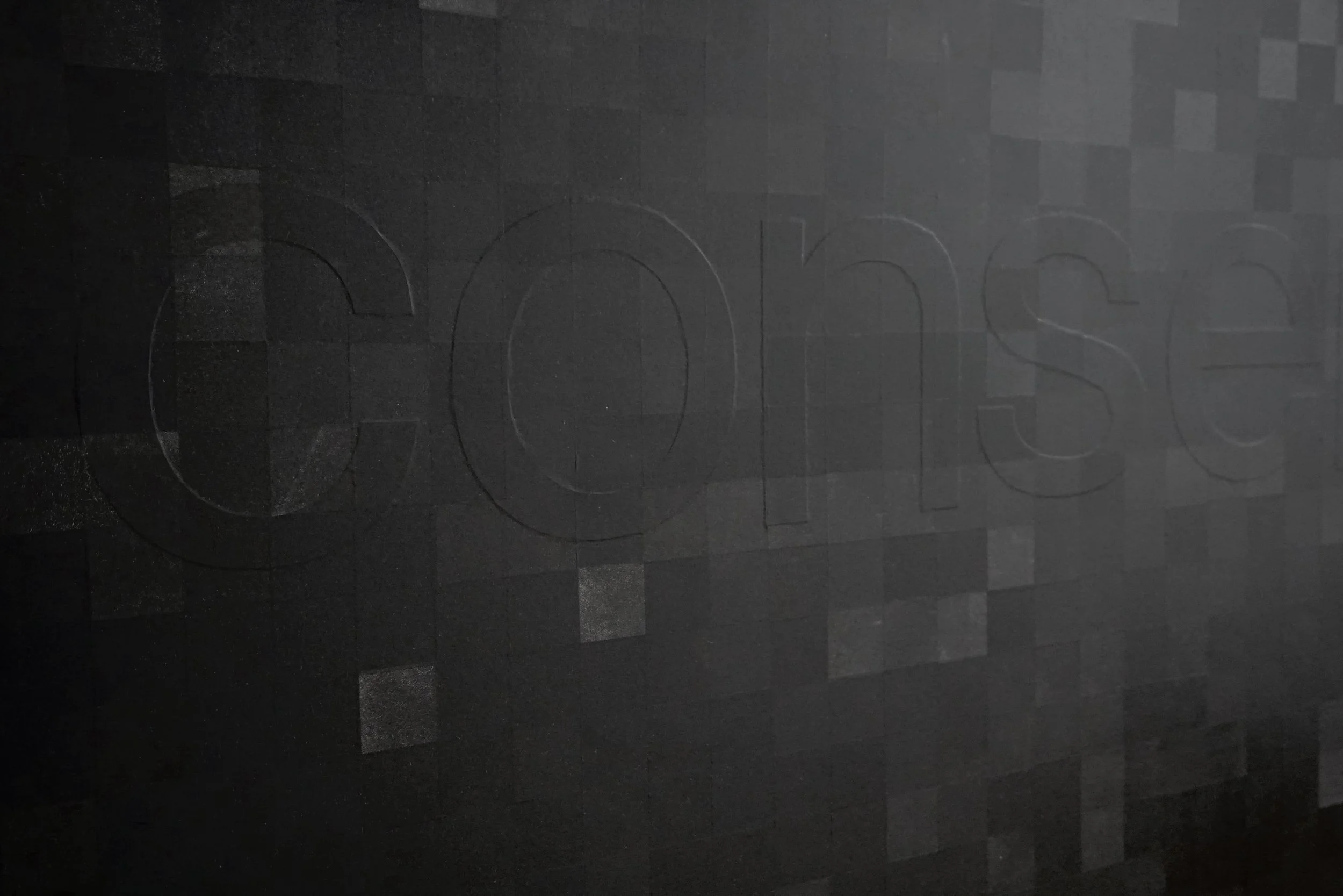 Terms of Service Consent detail Leonie Bradley.jpg